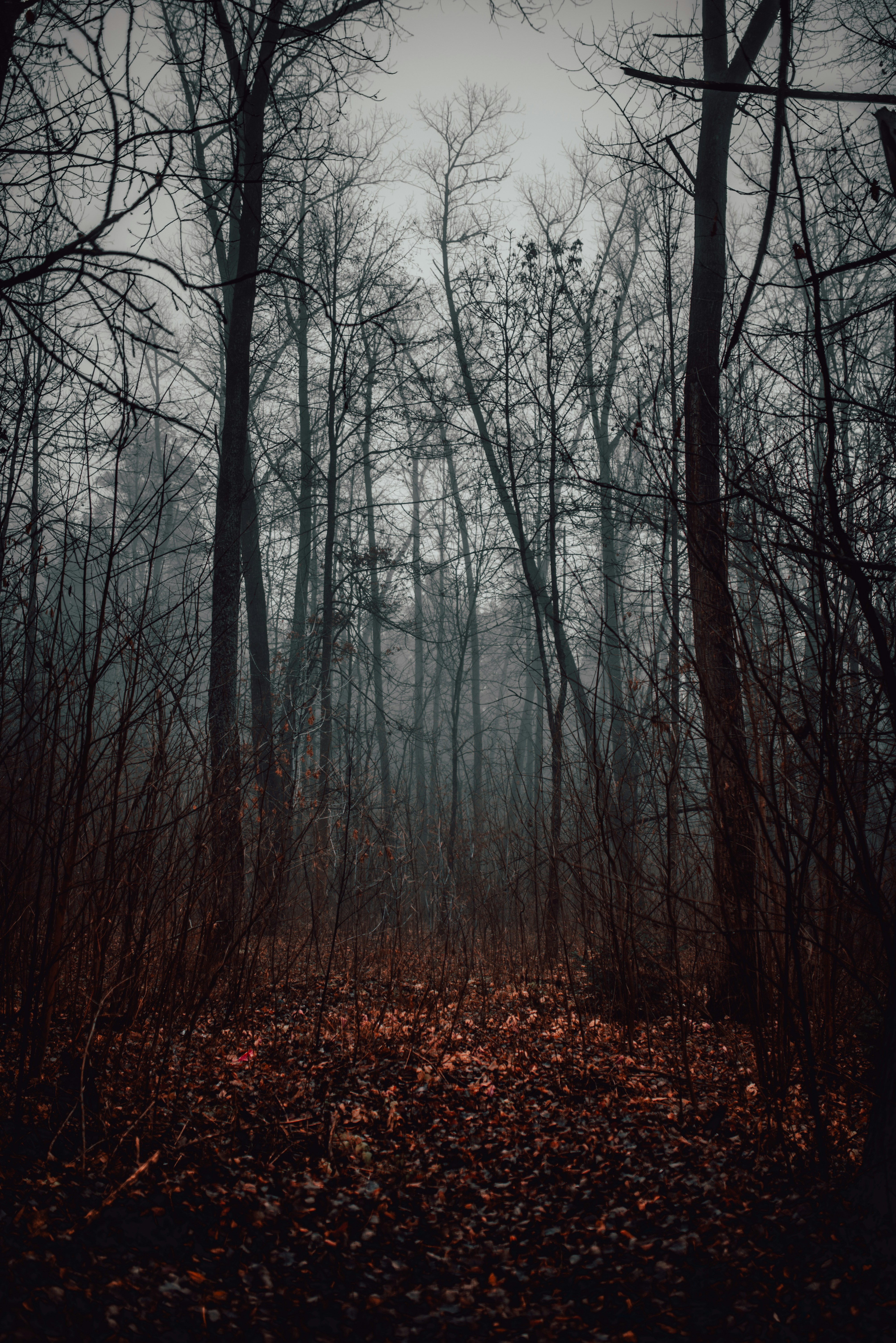 Photo by vadimsadovski