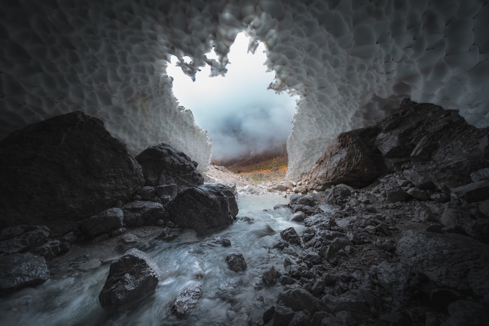 close-up photography of cave during daytime