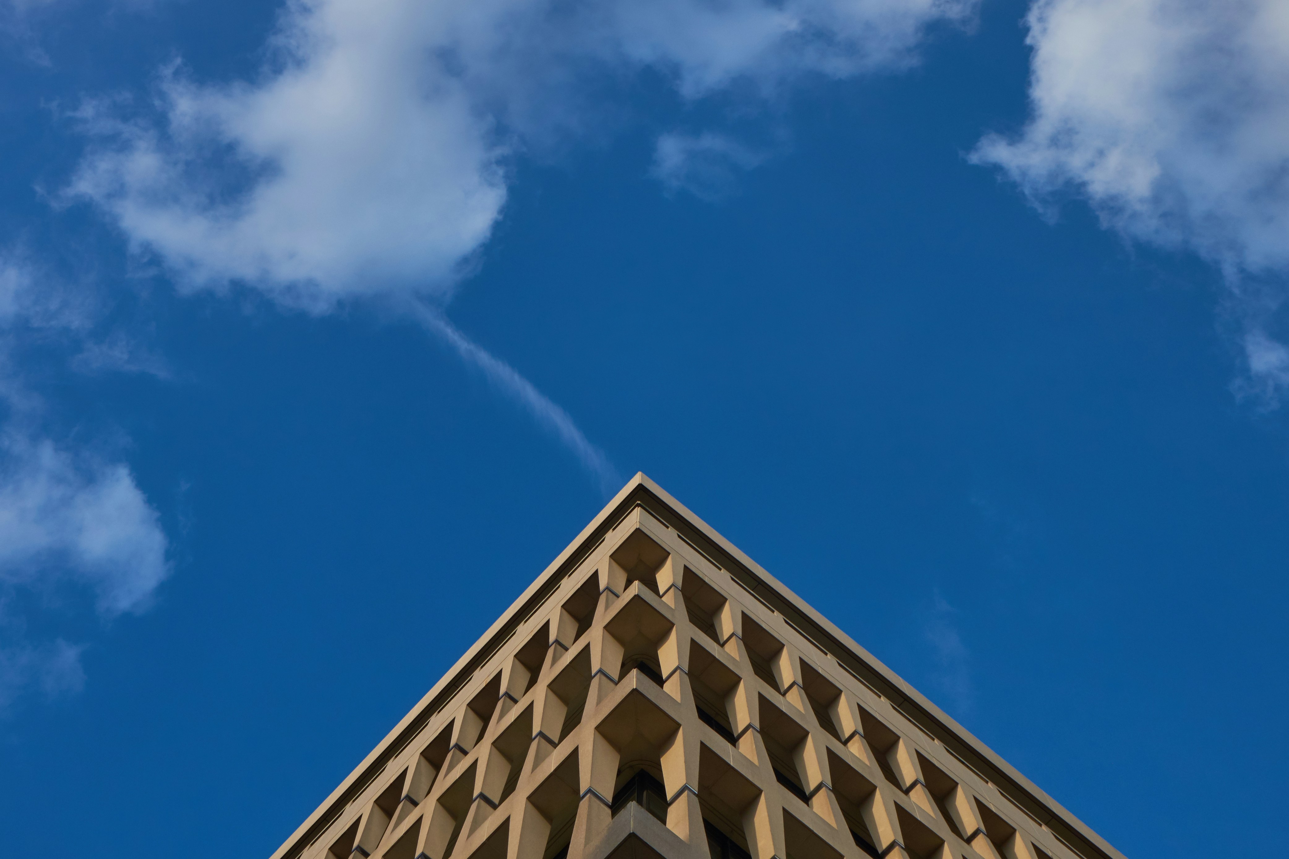 Photo by micmicpictures2019