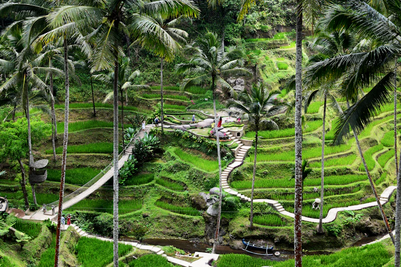 Best Breakfast and Brunch Places in Ubud for a Slow Morning