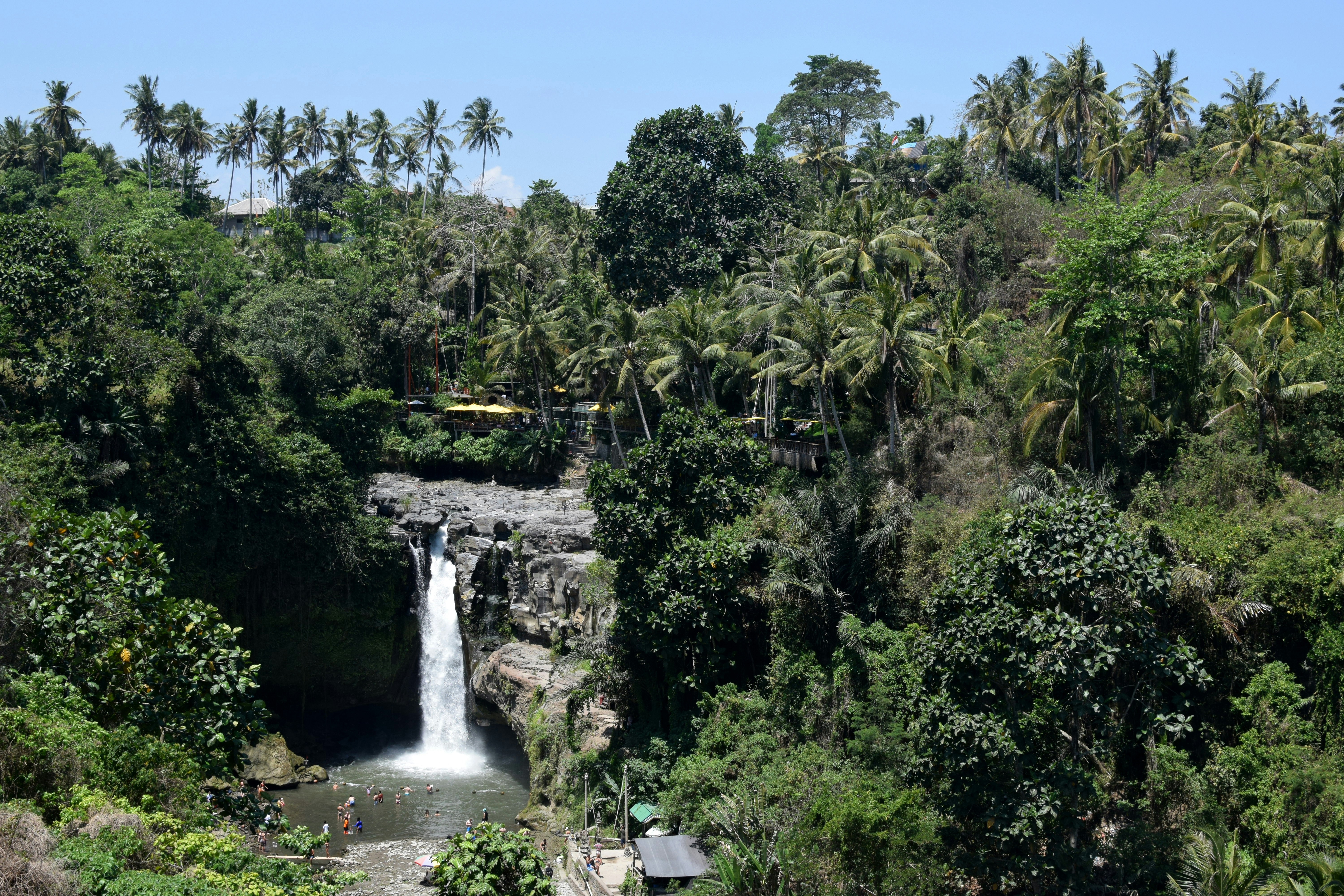 hijau di dekat air terjun di siang hari