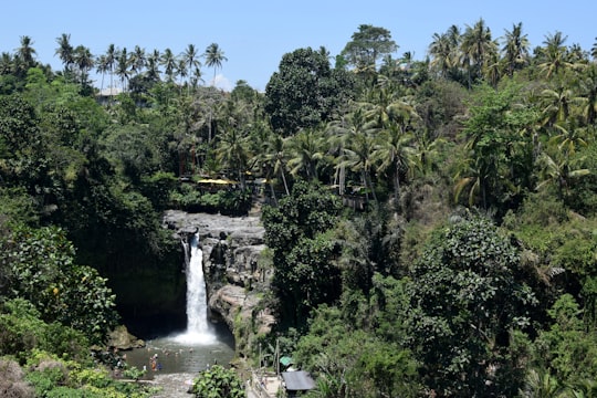 green near waterfalls during daytime in Tegenungan Waterfall Indonesia