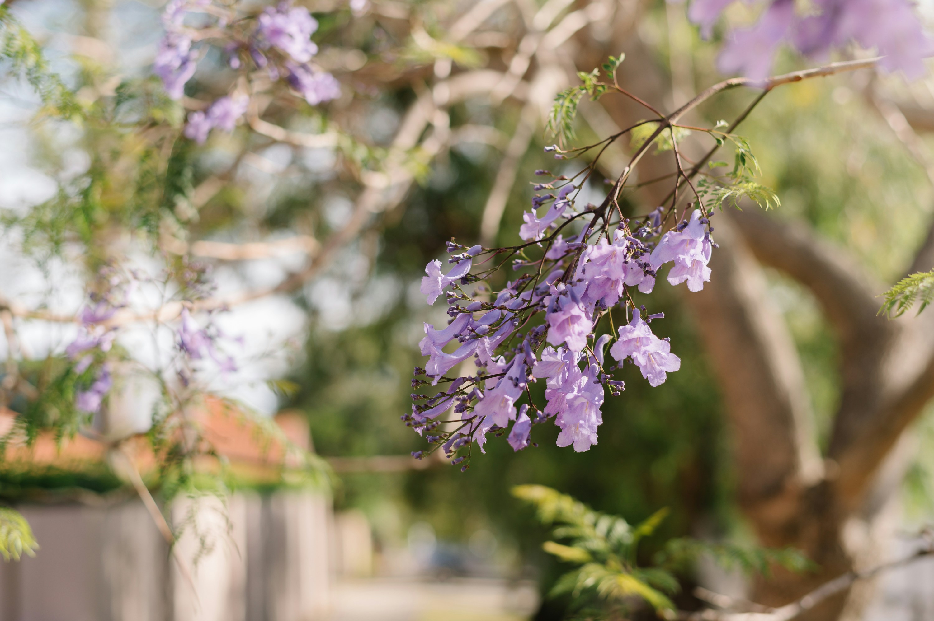 Photo by rodgerodger