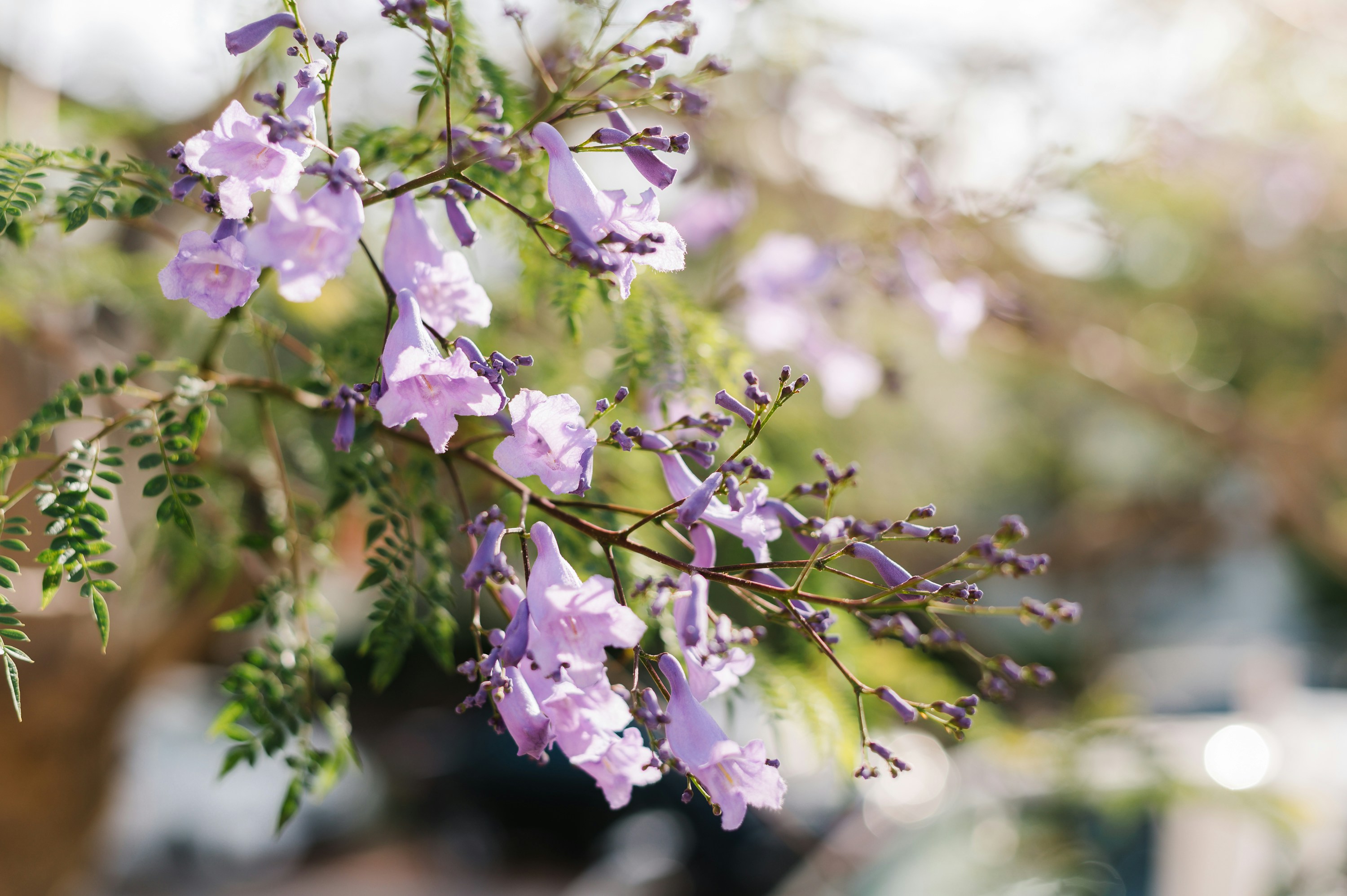 Photo by rodgerodger