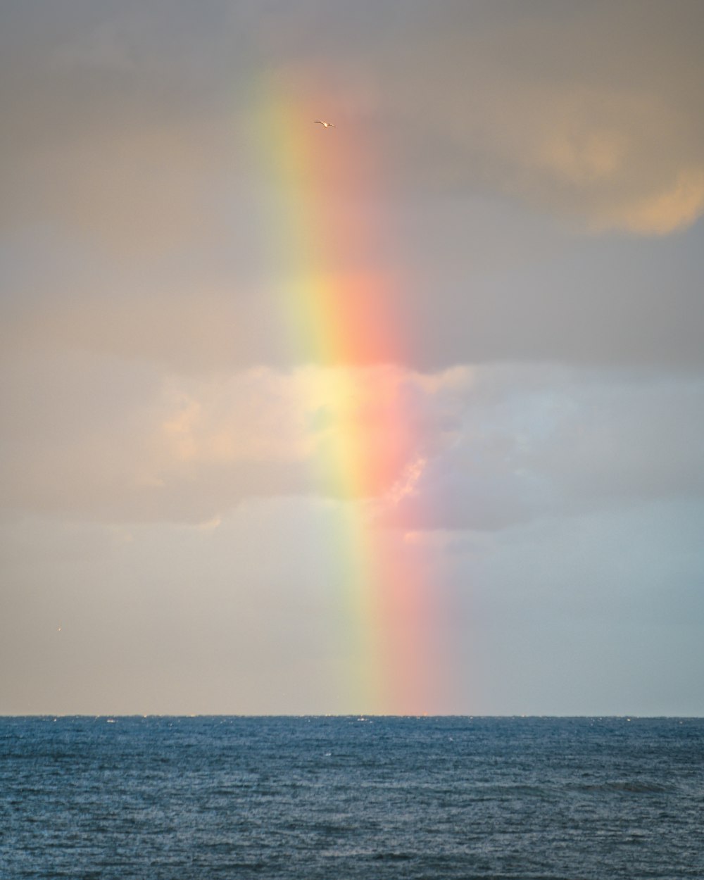 rainbow over the sea