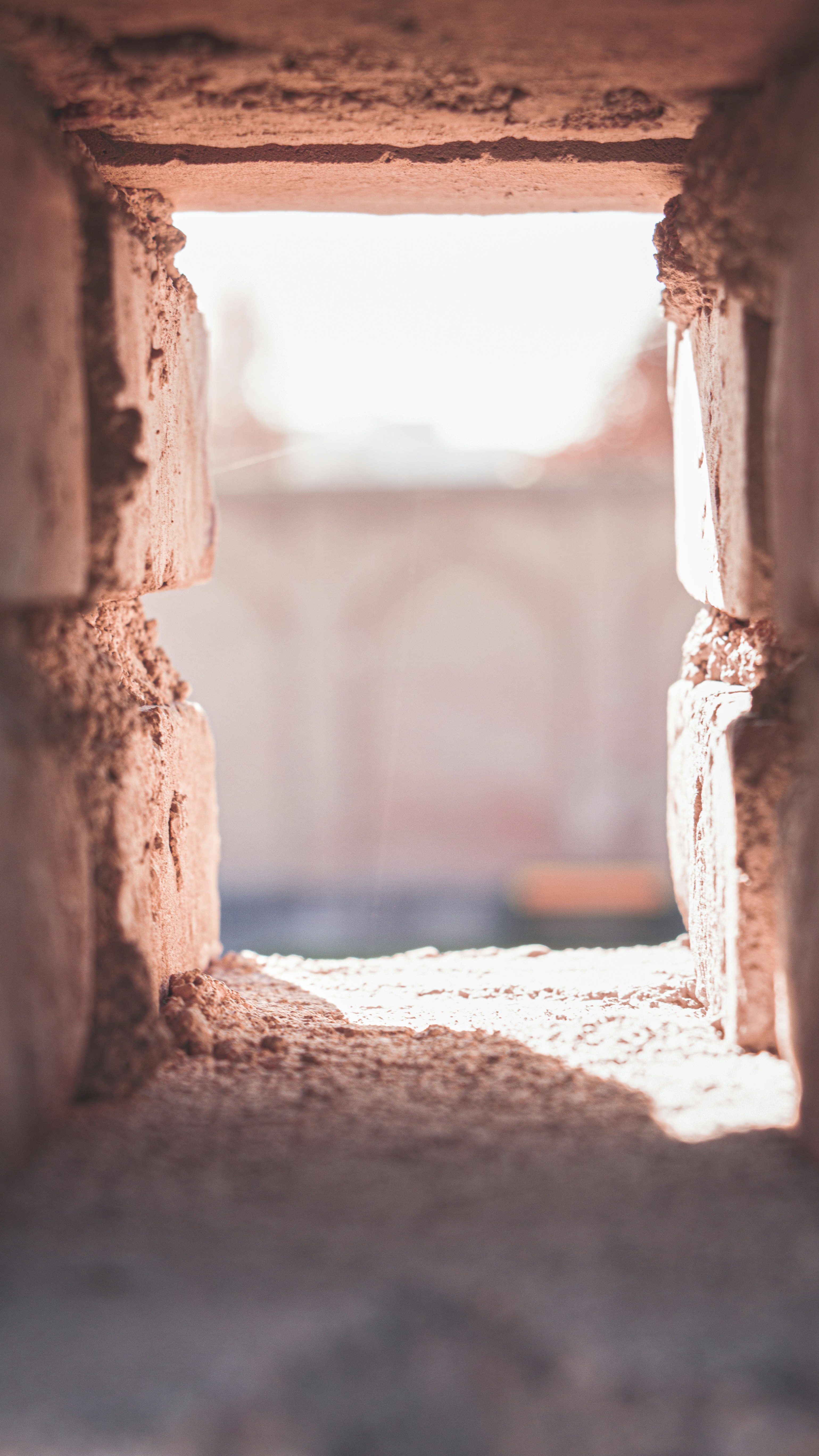 Photo by rezairannejad