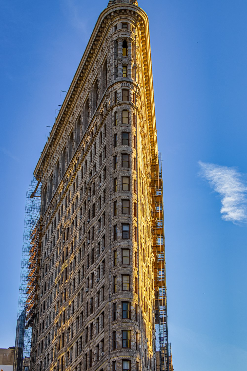 worm view photo of brown building