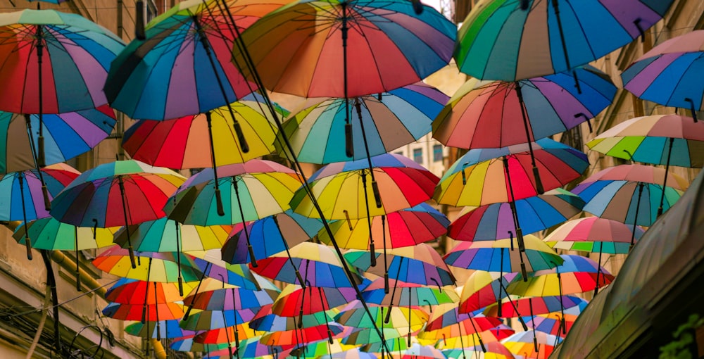 assorted-color umbrellas