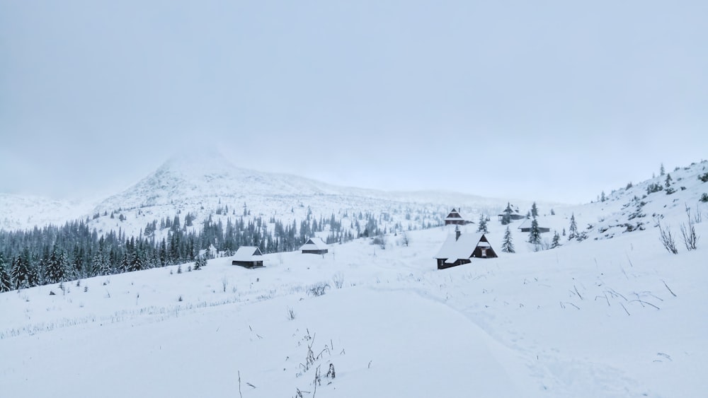 snow covered mountain during daytime