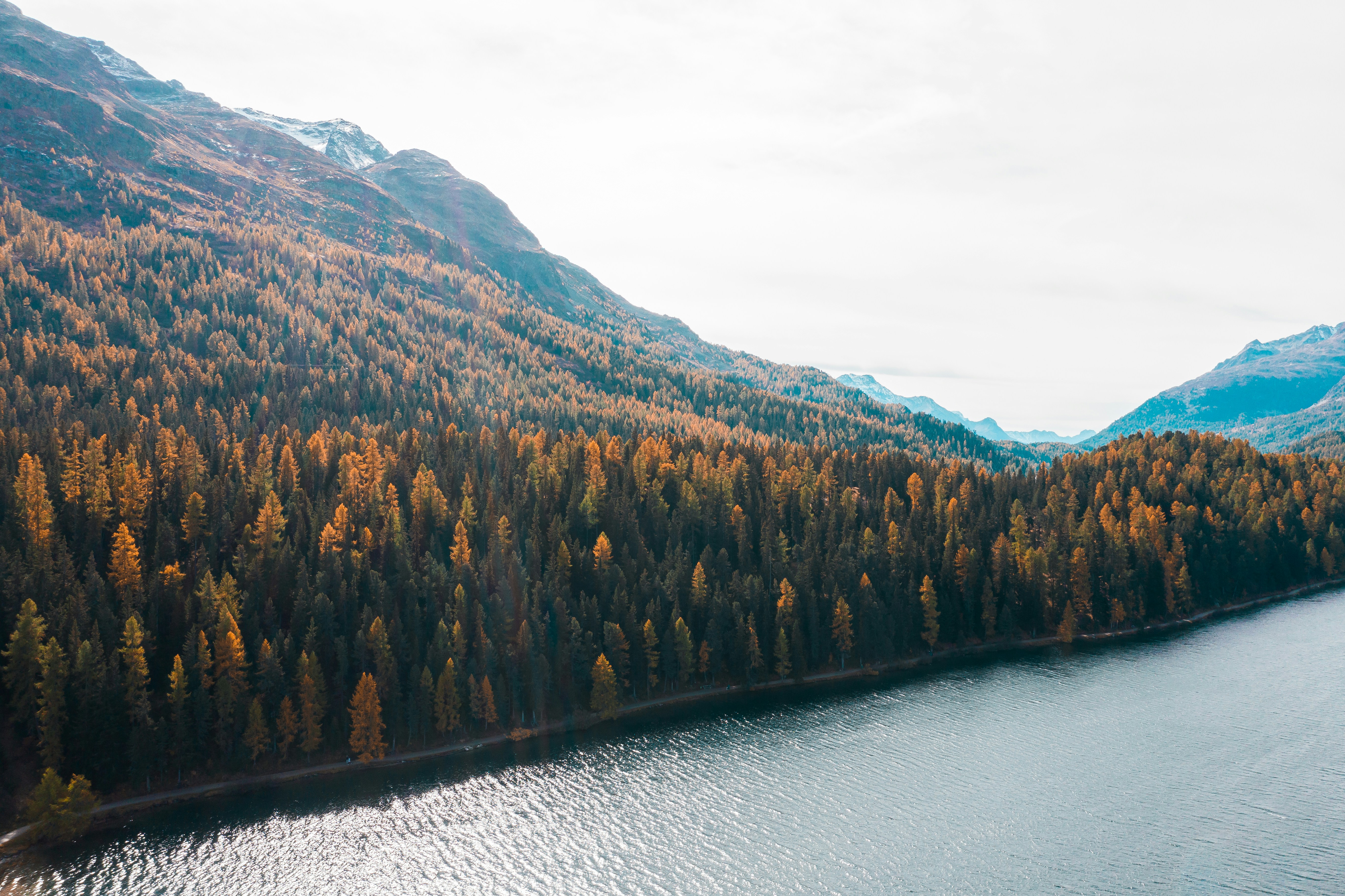 Photo by willianjusten