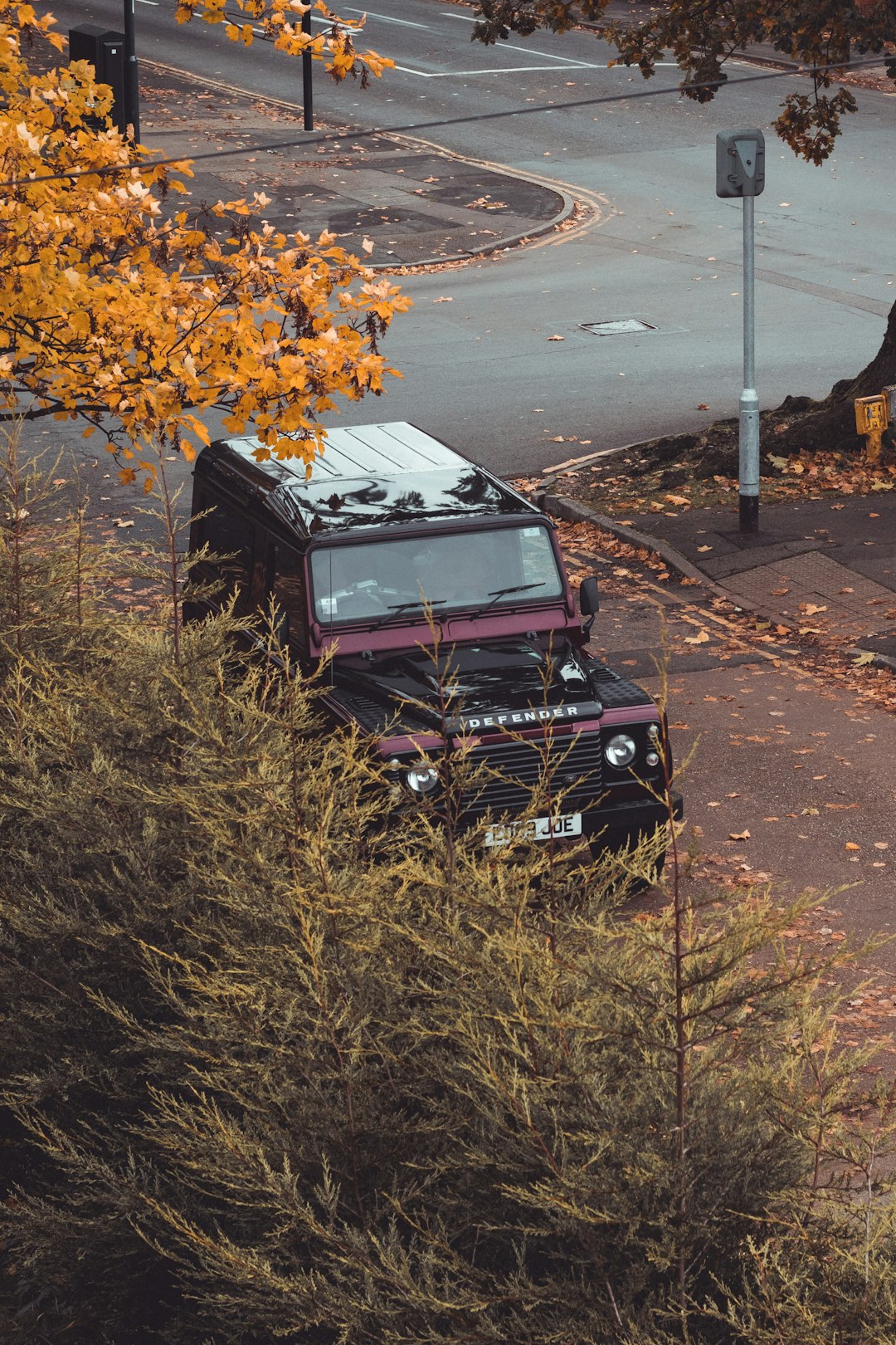 black and pink parked vehicle near trees