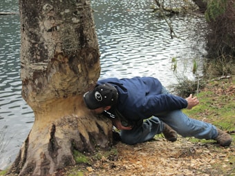 A person in a blue jacket and jeans is closely examining the base of a large tree trunk that has been gnawed away. The person appears to be looking at the trunk's texture or investigating for signs of wildlife activity. The scene is outdoors, near a body of water, with grass and leaves on the ground.