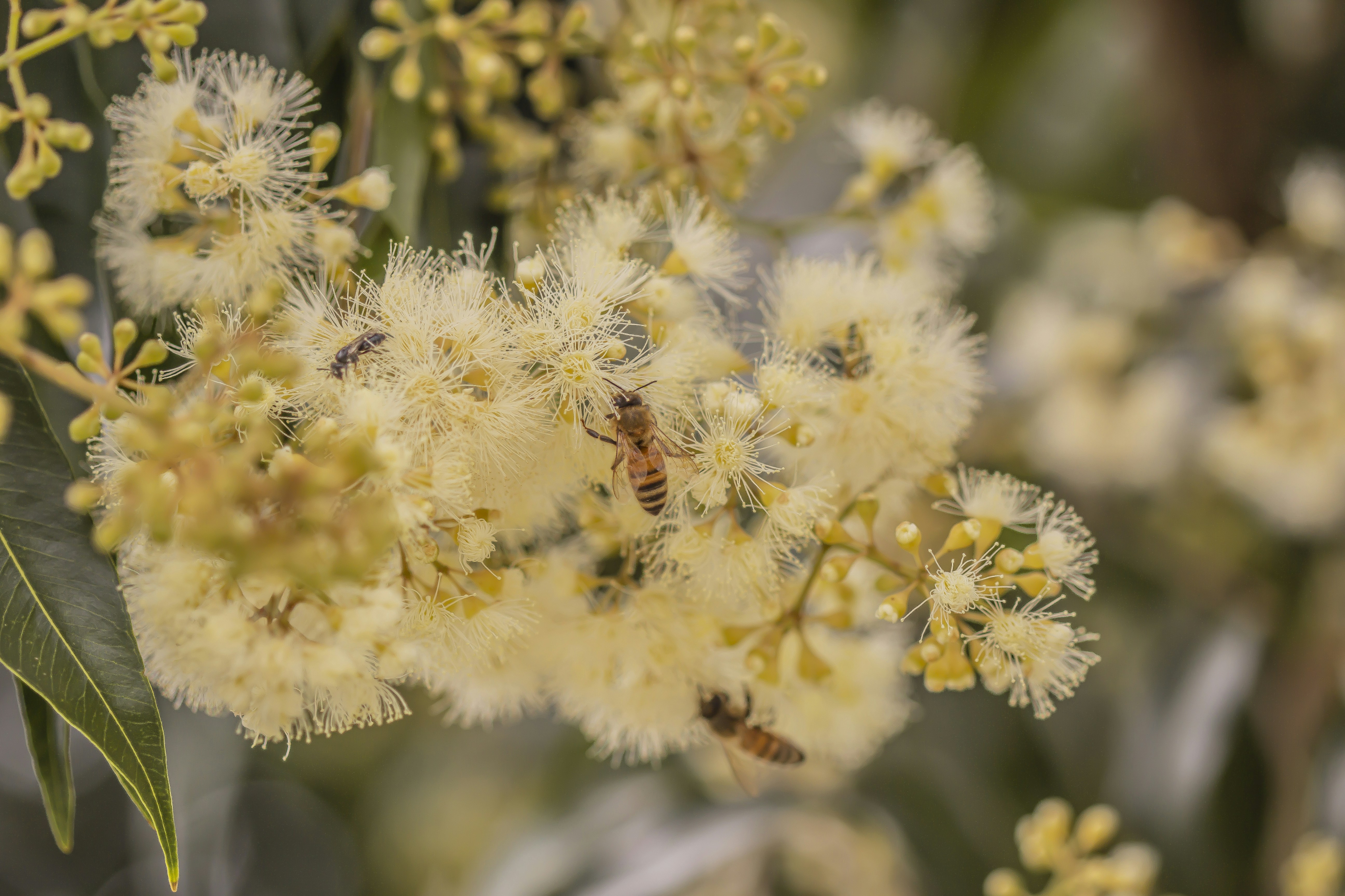 Photo by daniel_sturgess