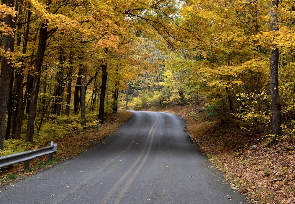 empty road