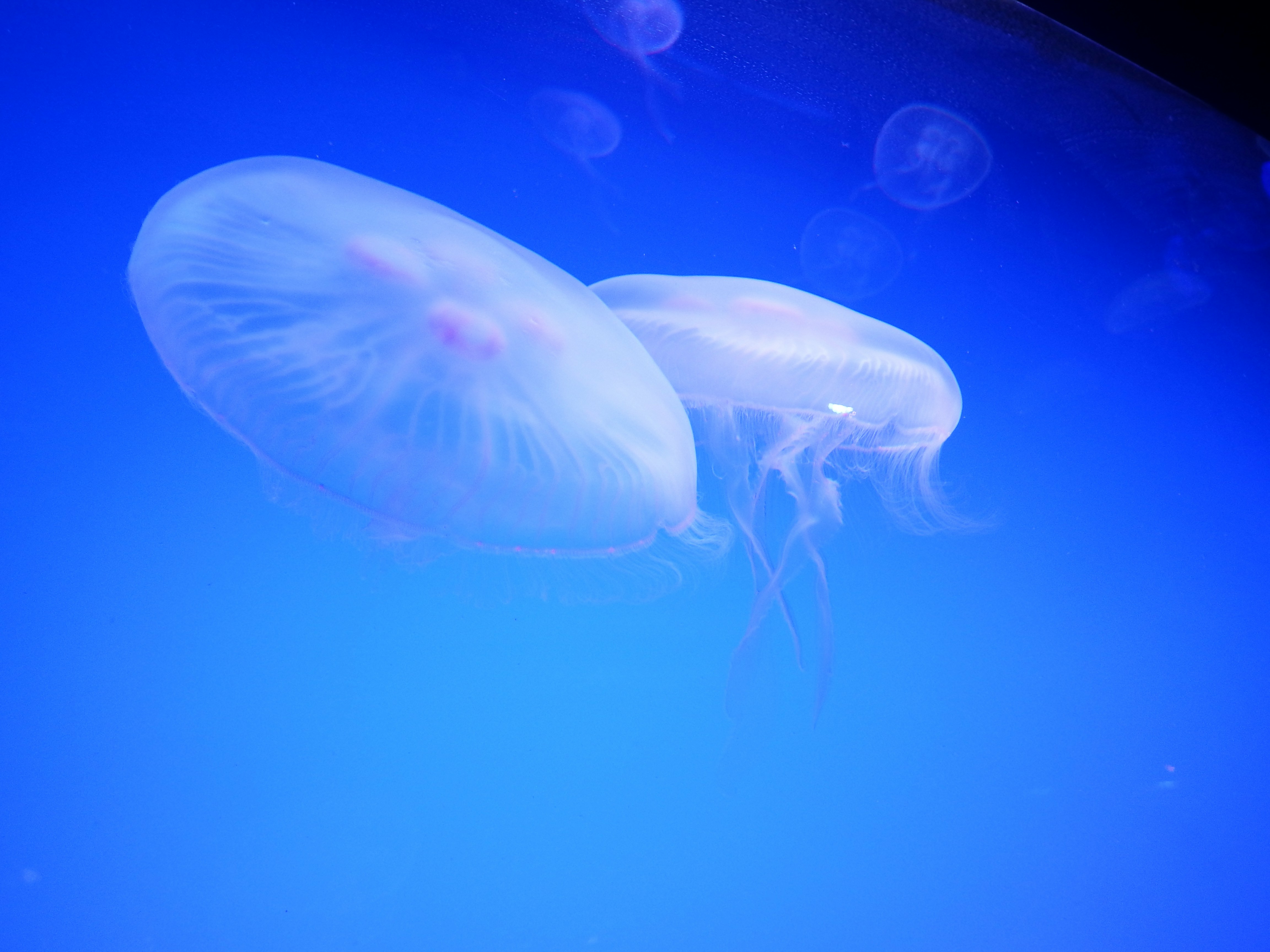 Photo by littlemenroaring