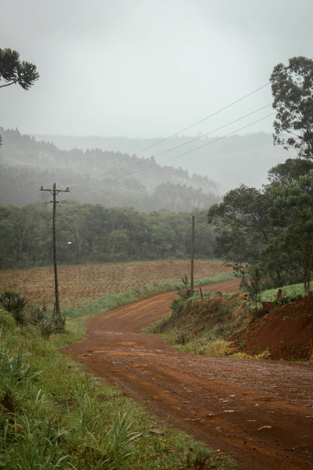 dirt road during daytime