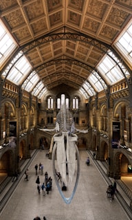 people inside building with bones artifact