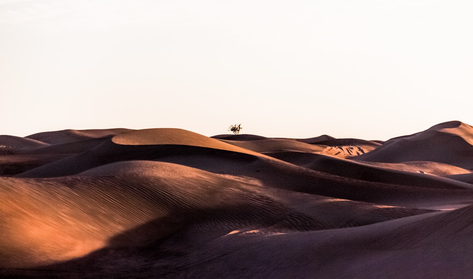 Canon EOS 50D + Canon EF-S 18-200mm F3.5-5.6 IS sample photo. Sand dunes during daytime photography