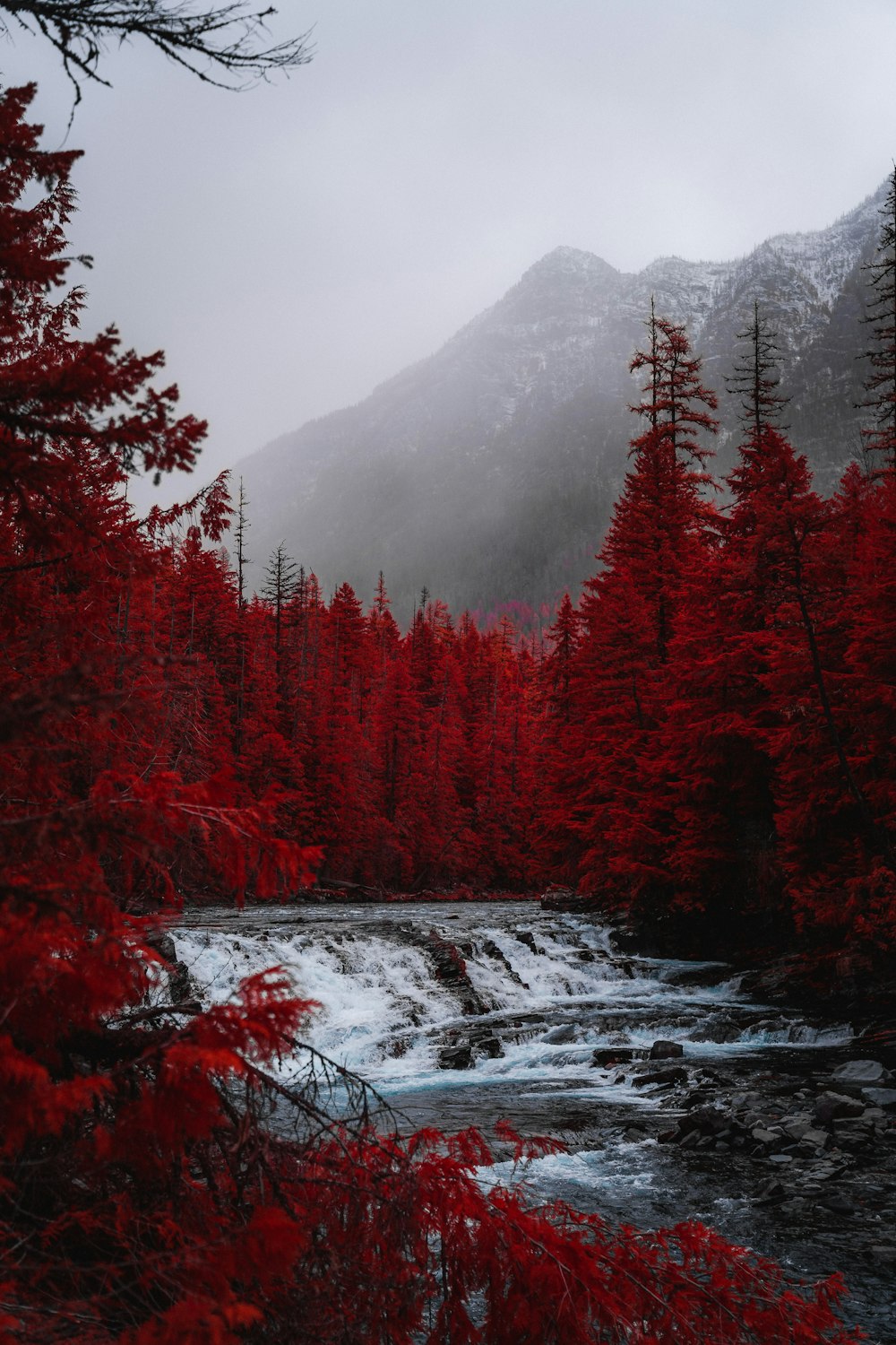 붉은 나무 근처의 강 폭포