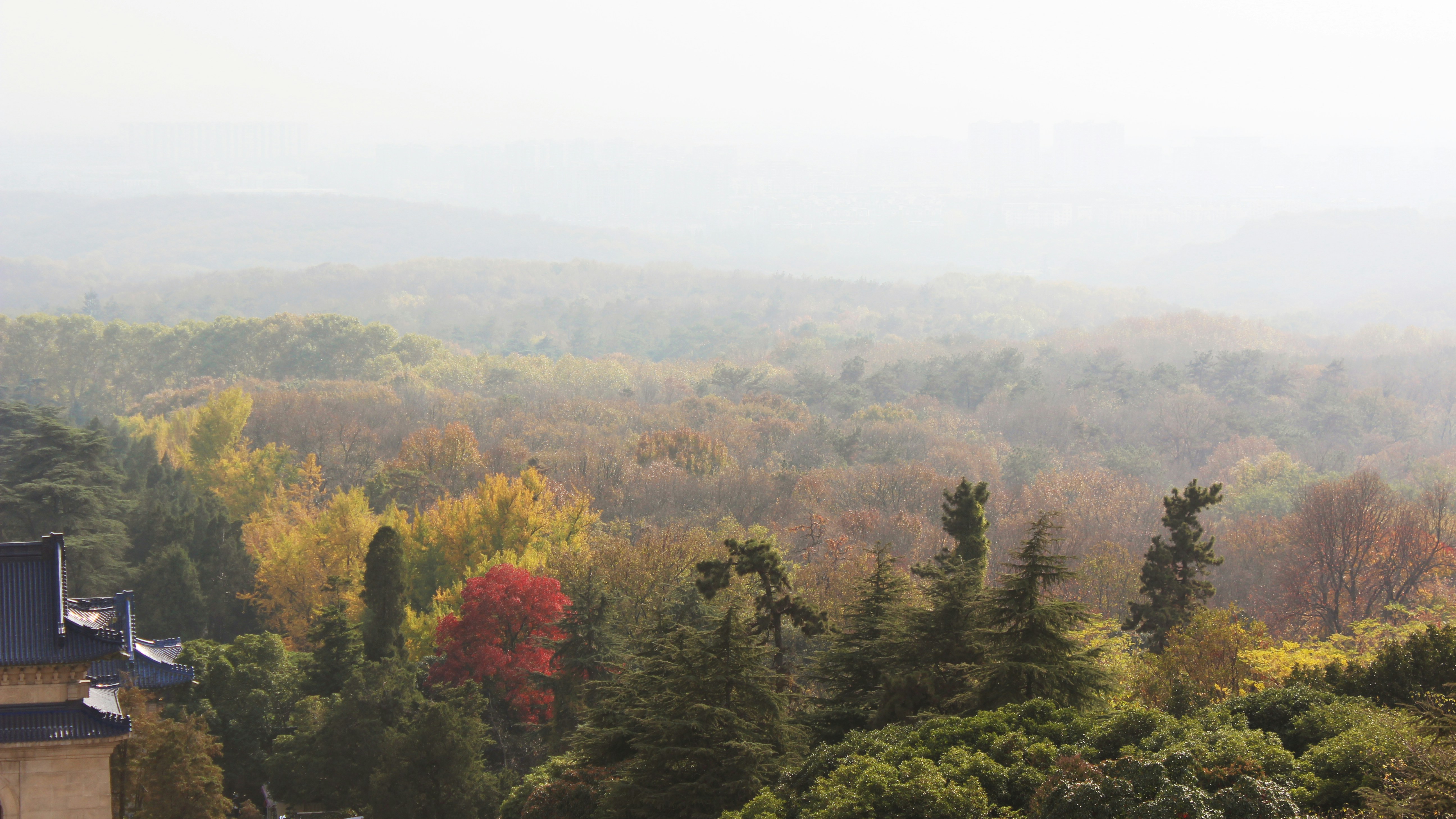 Photo by sakamotomari