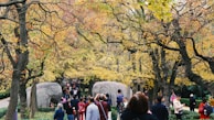 Tourists enjoying a sunny stroll through Vigeland Sculpture Park surrounded by unique statues.