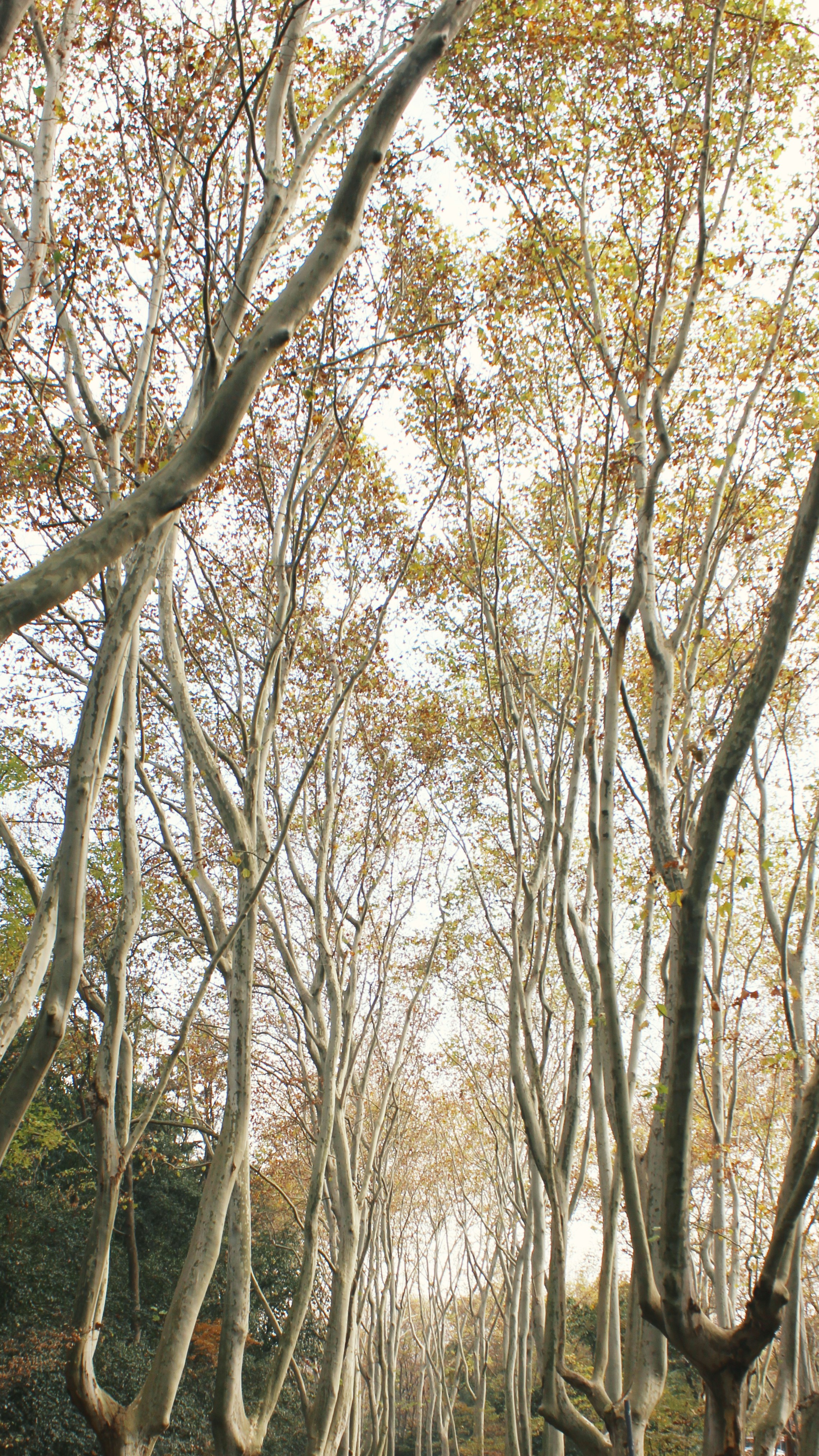 Photo by sakamotomari