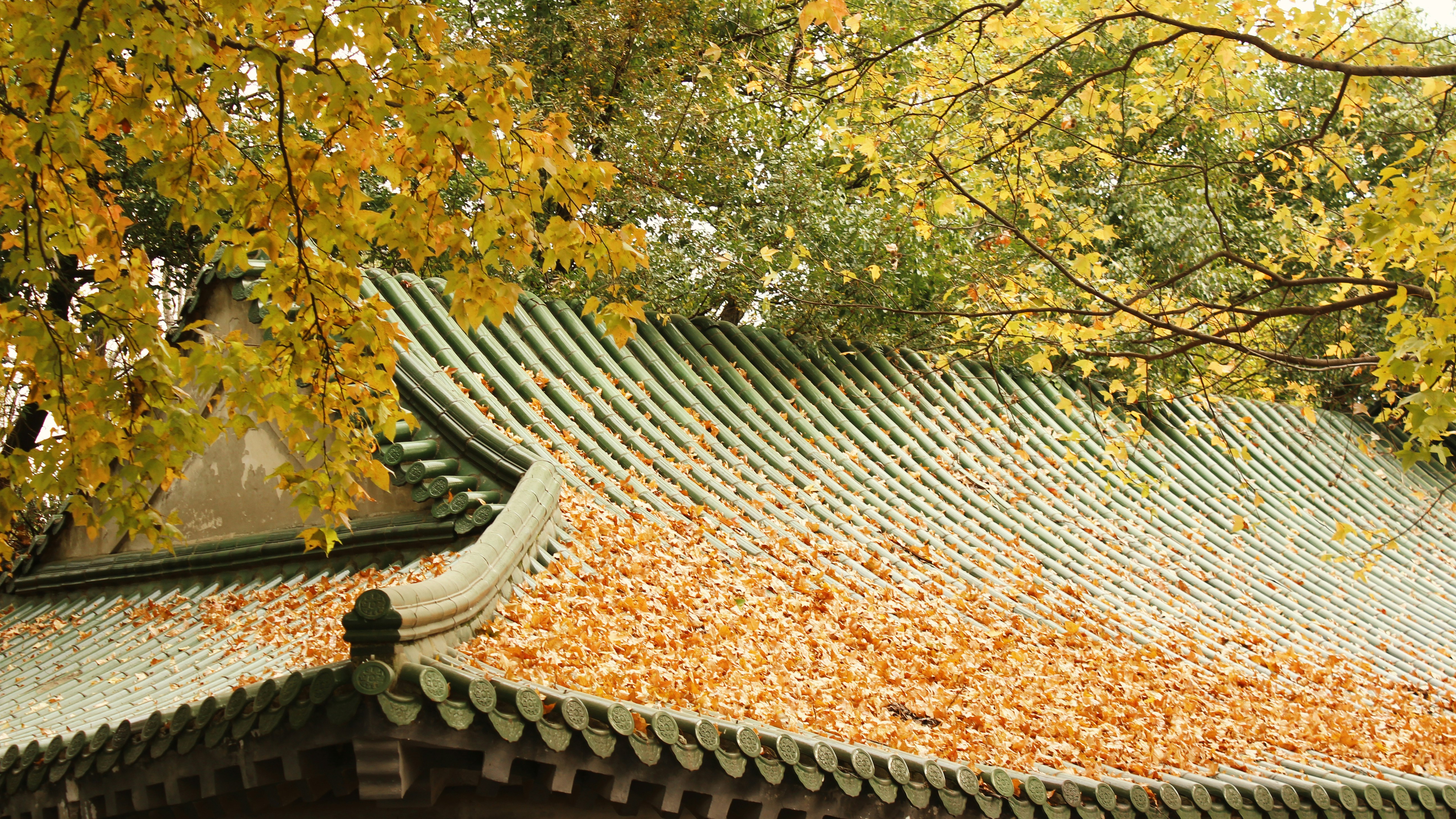 Beautifully detailed flower bed in Willow Woods