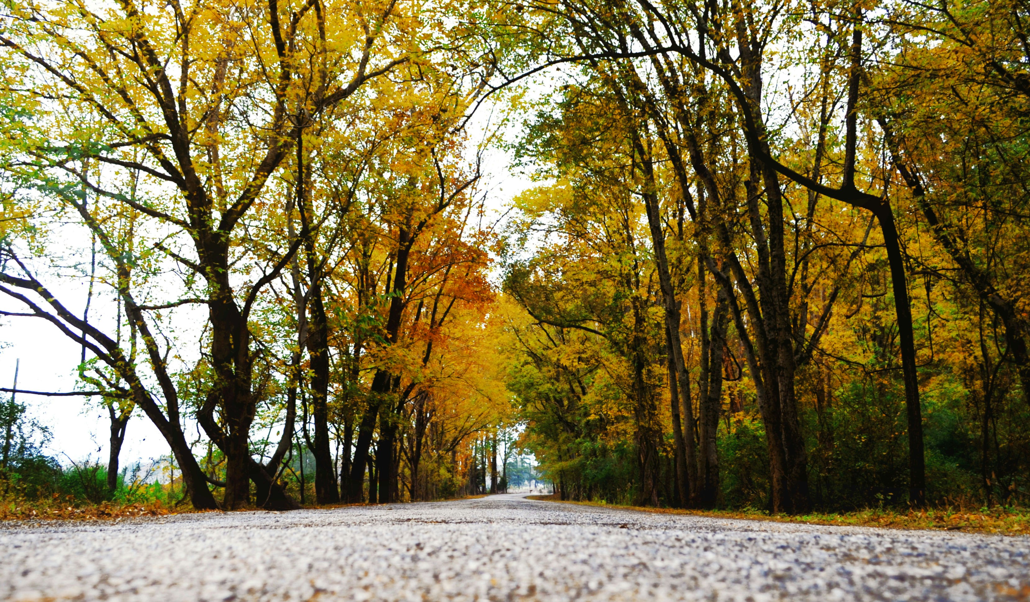 Photo by olivias_studio