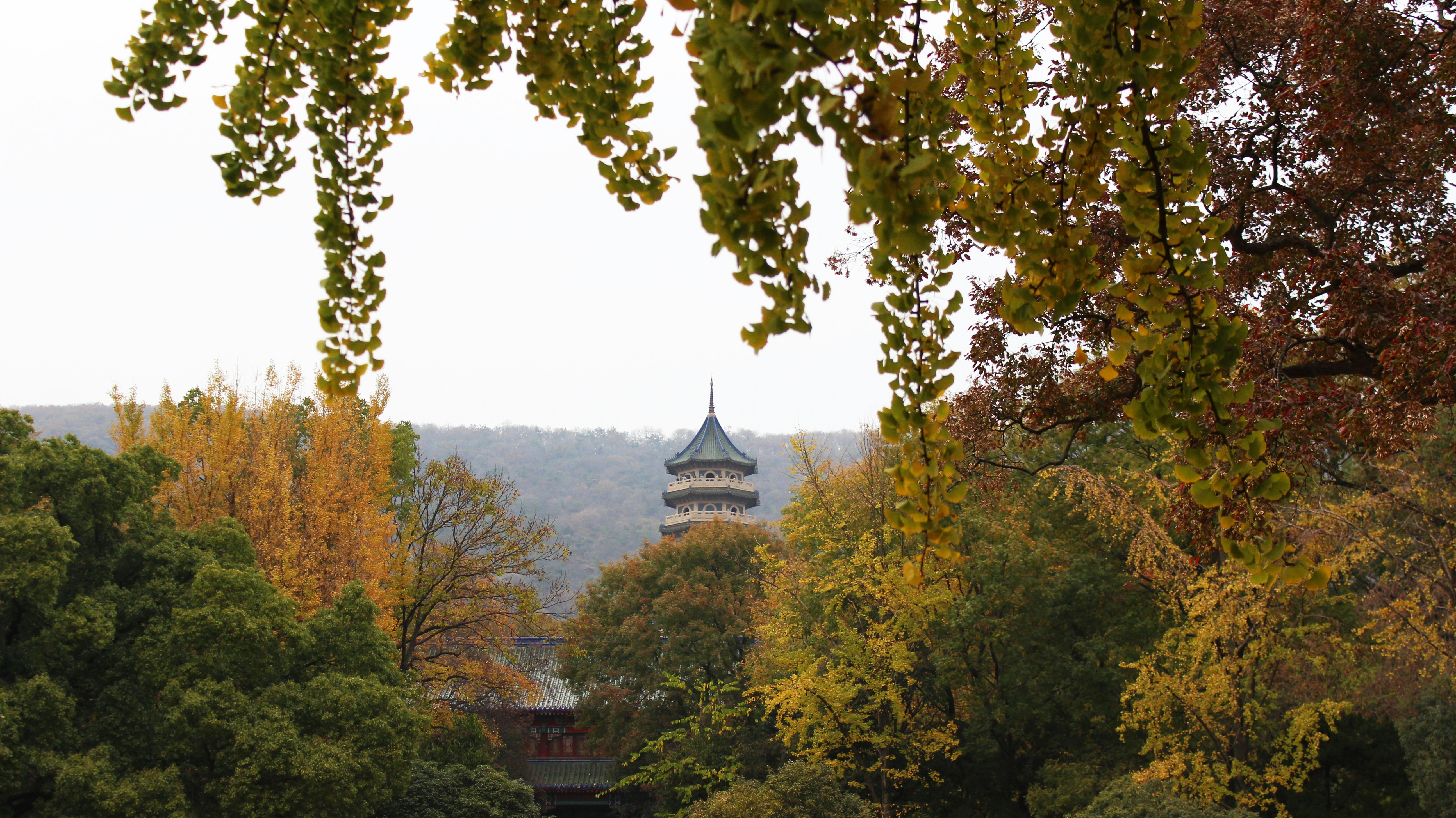 Photo by sakamotomari