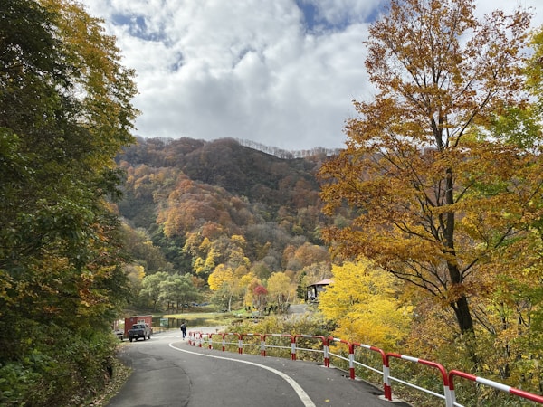 Discover Niigata: Culture & Traditions Guide