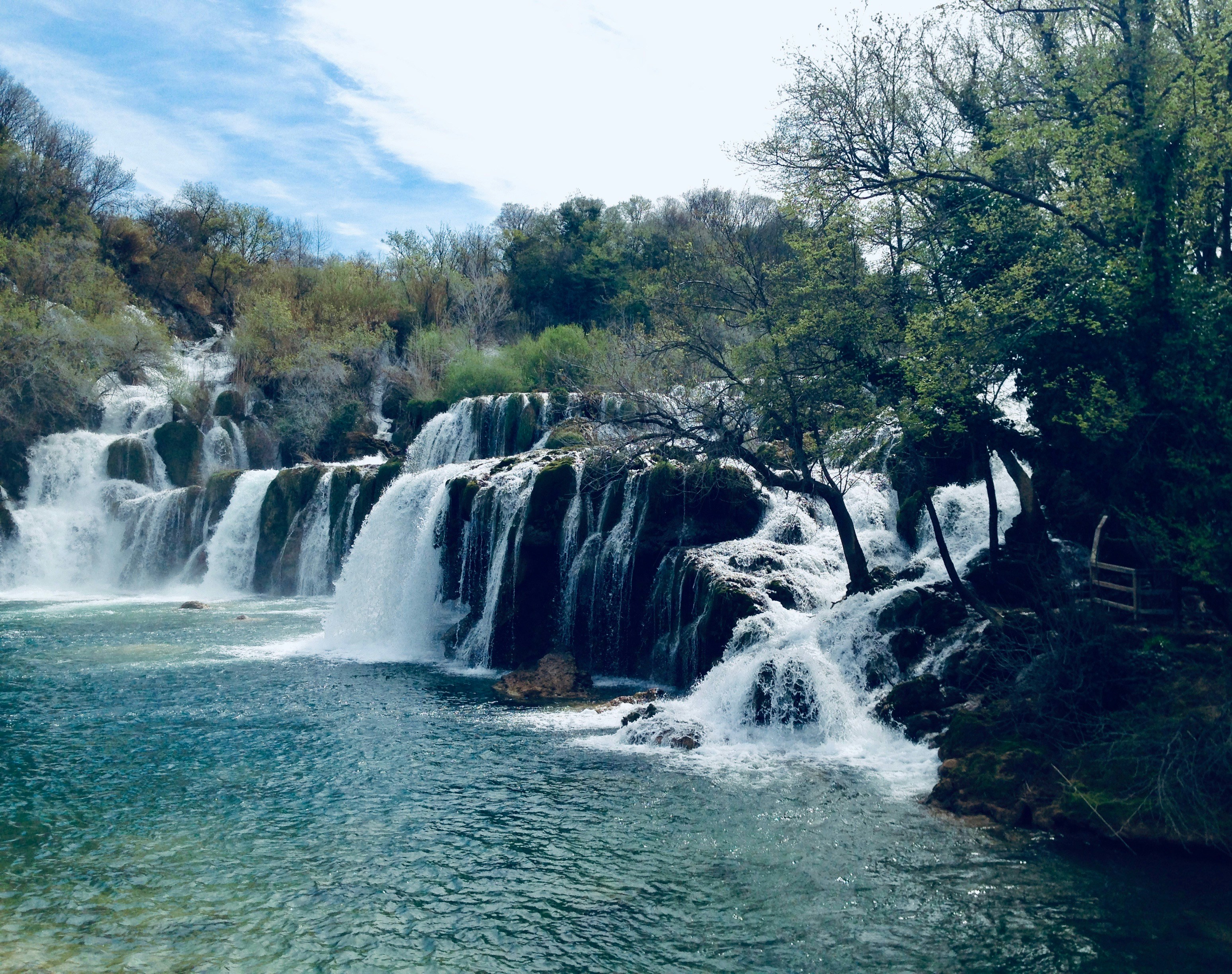 Waterfalls near trees