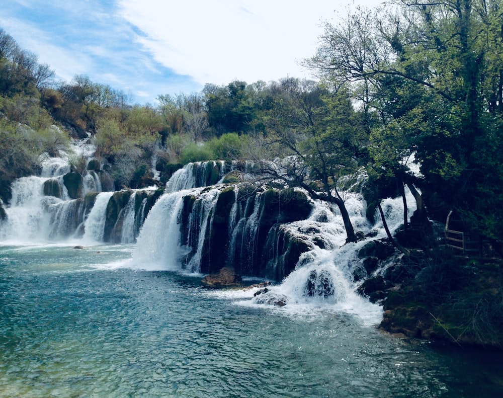 waterfalls near trees