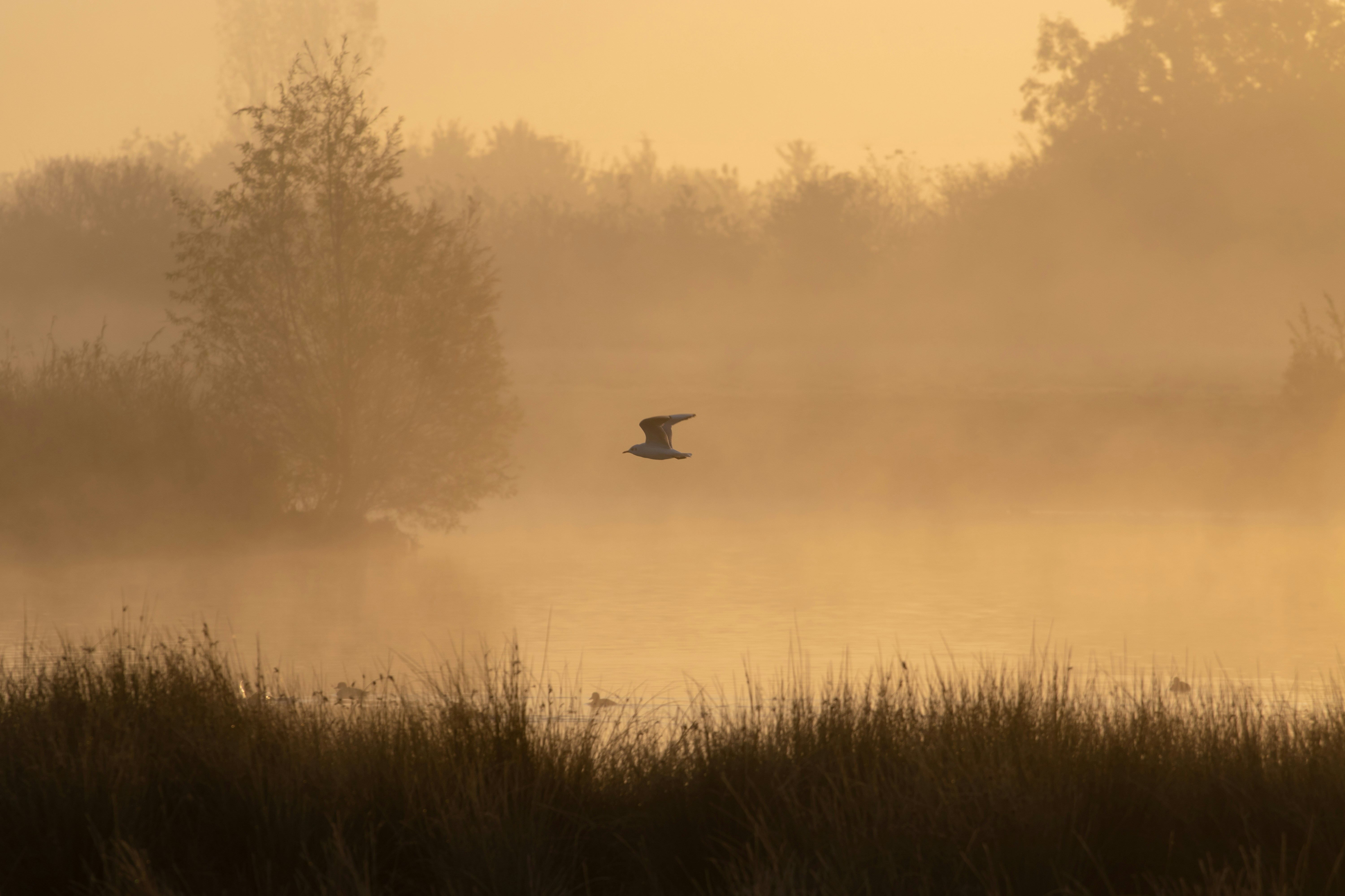 Photo by theotherkev