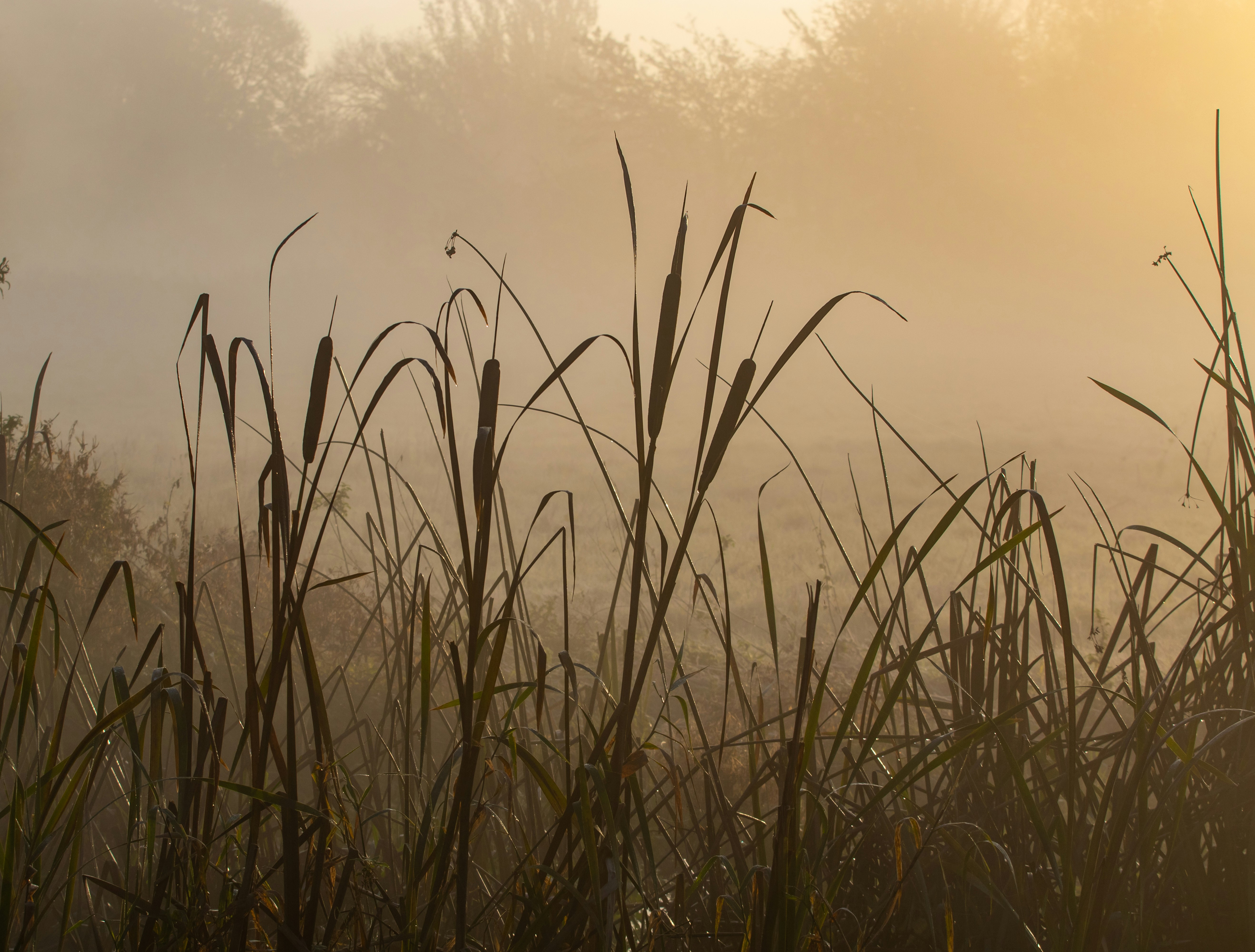 Photo by theotherkev