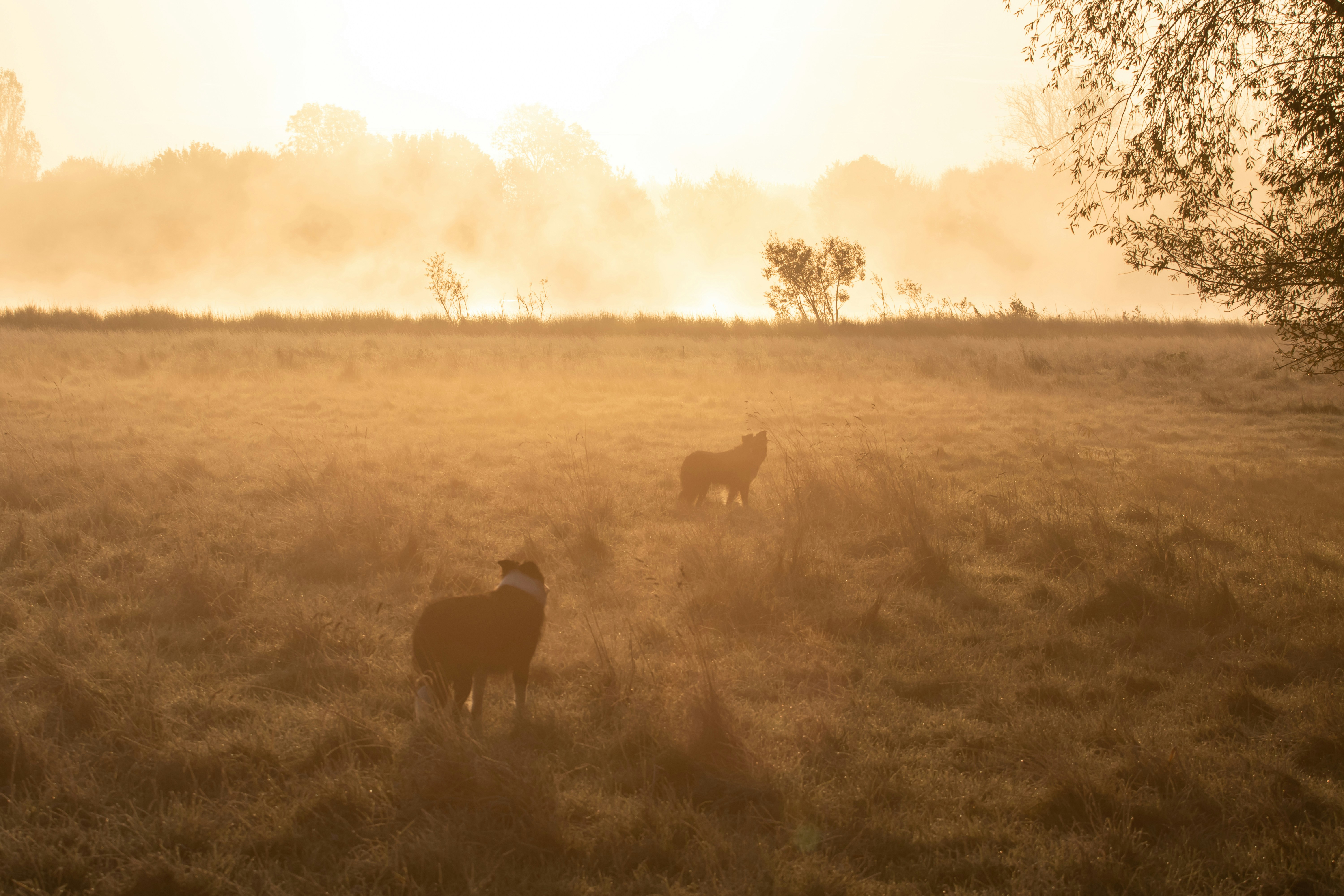 Photo by theotherkev