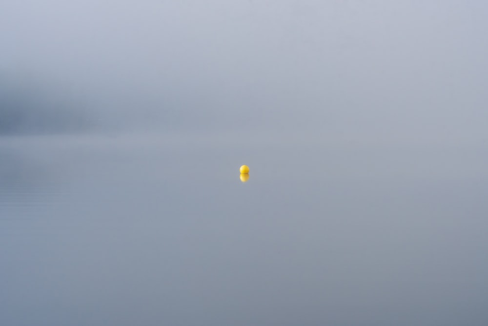 un ballon jaune flottant au milieu d’un plan d’eau