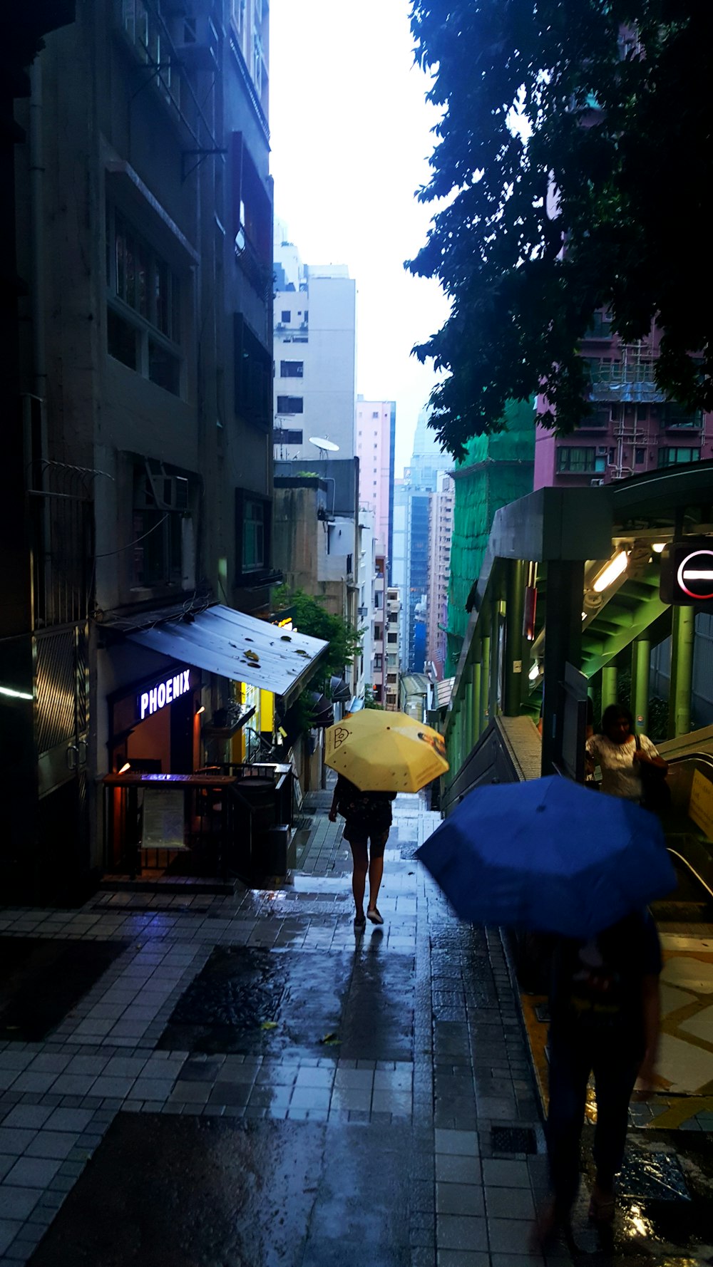 people holding blue and yellow umbrellas on street between buildings