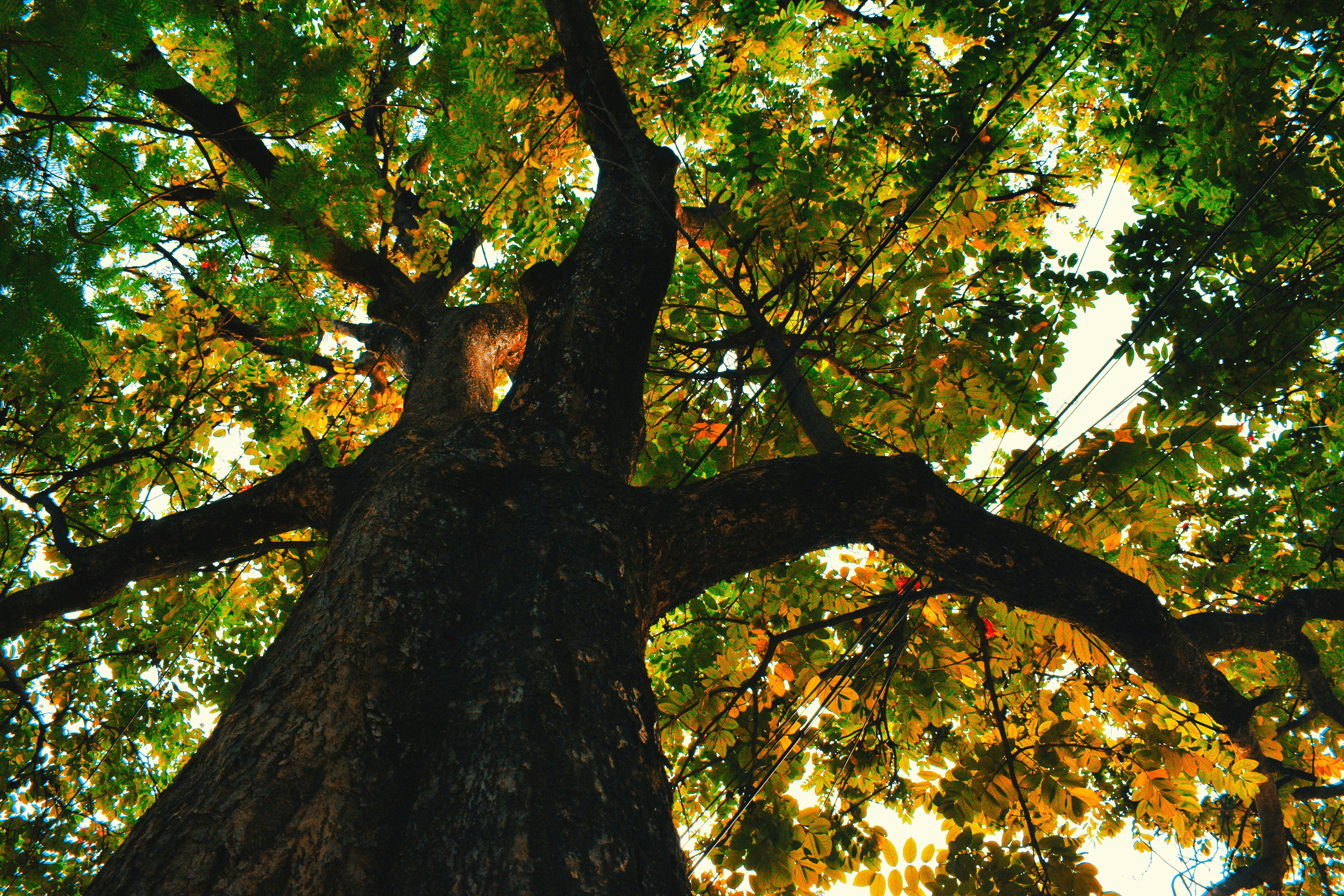 나무 증권 해외 주식 수수료 구조와 절약 팁