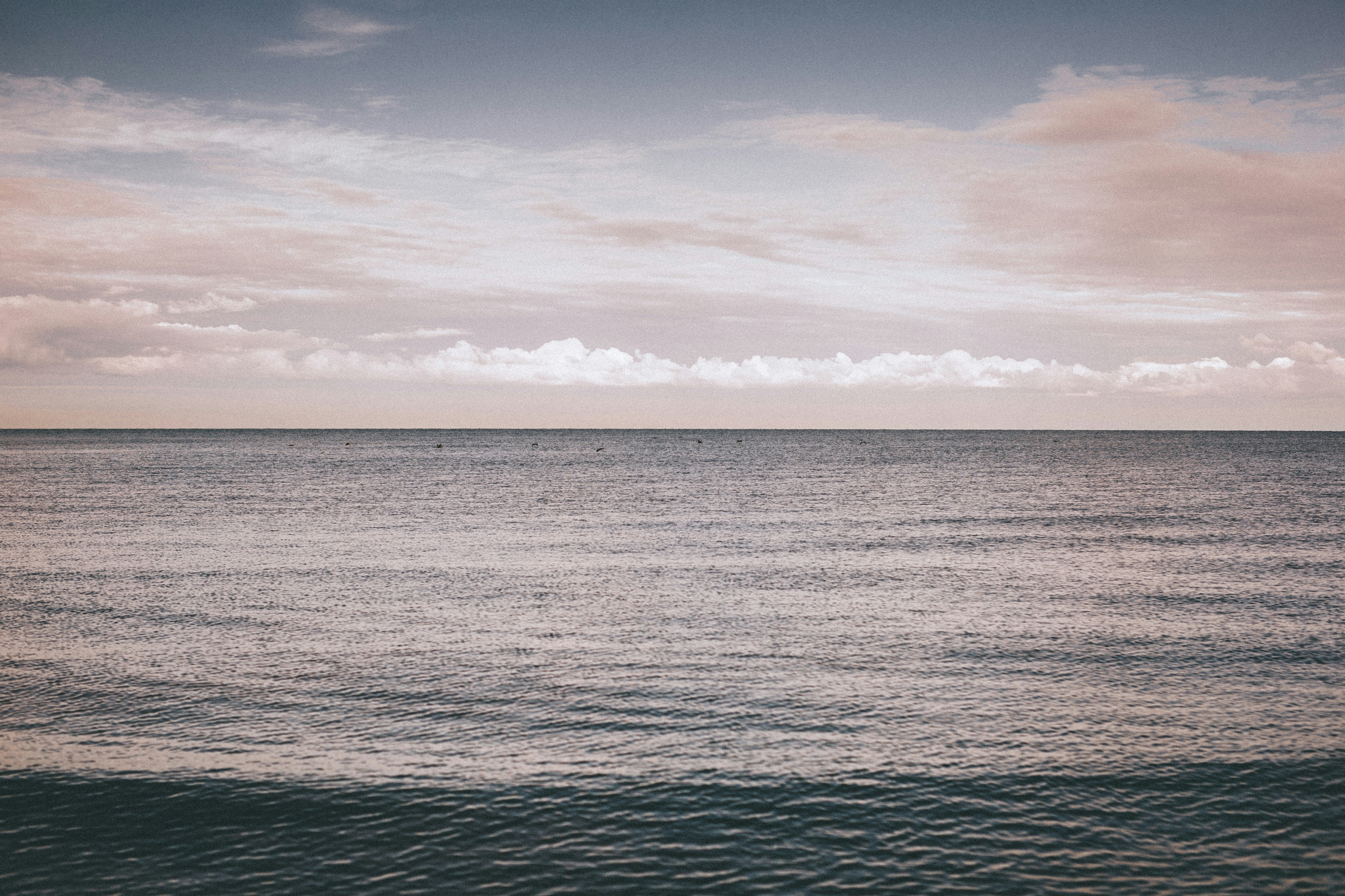 Photo by marekssteins