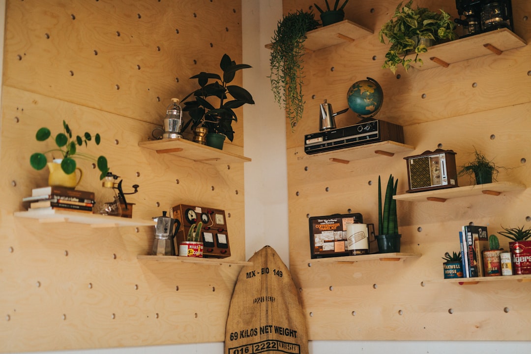 books, pot of plant, globe, and moka pot on wooden floating shelves