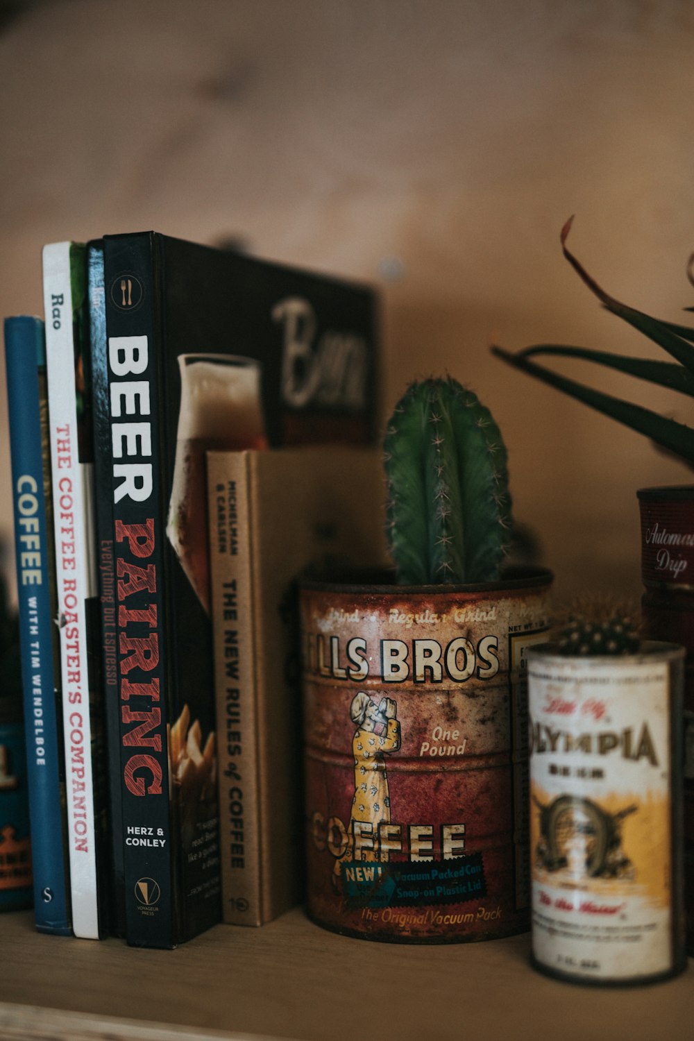 green cactus in Fils Bros coffee can