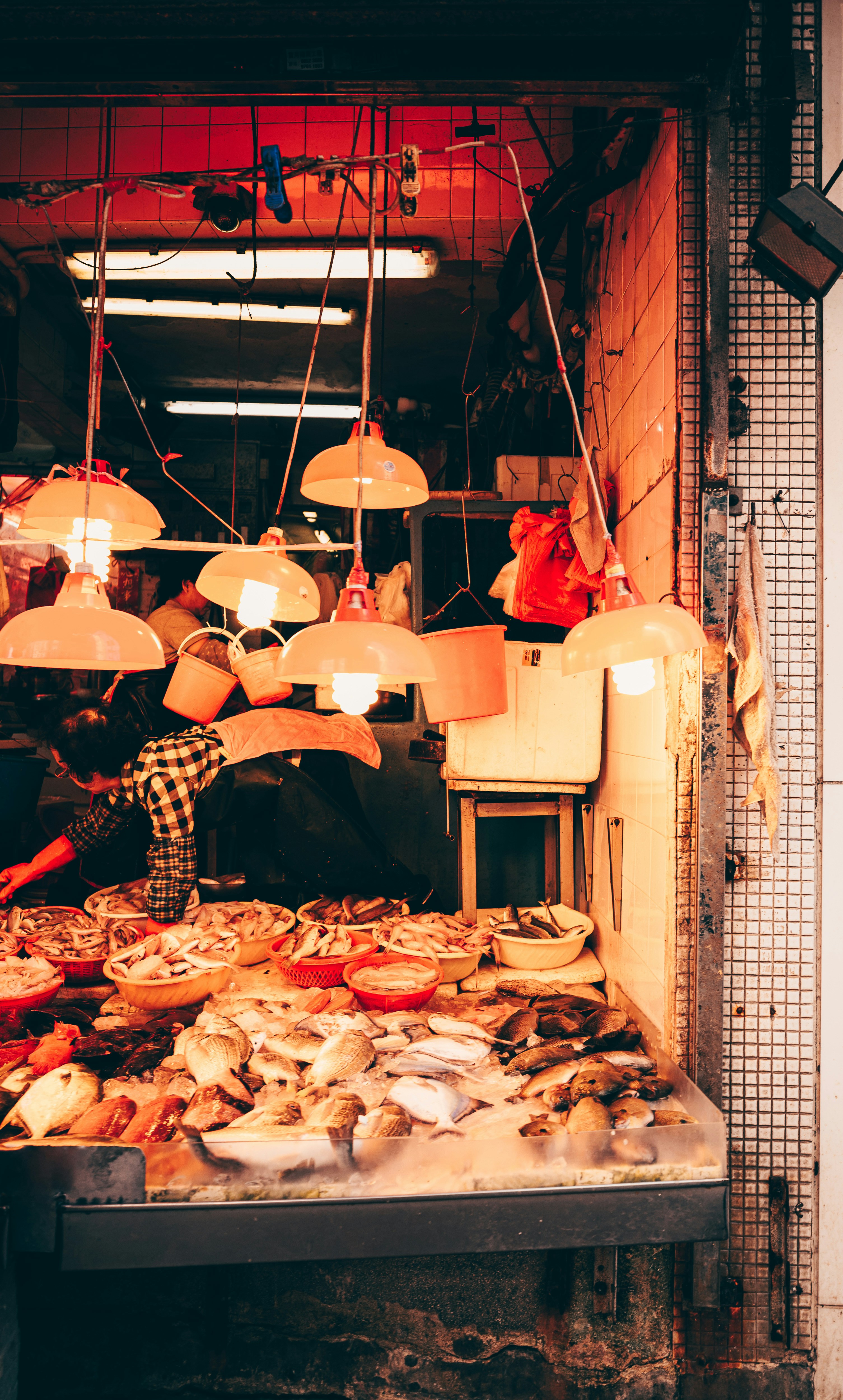 Fresh whole fish on ice at a bright fish market