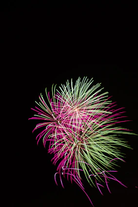 Close-up photo of colorful green fireworks bursting against a night sky.