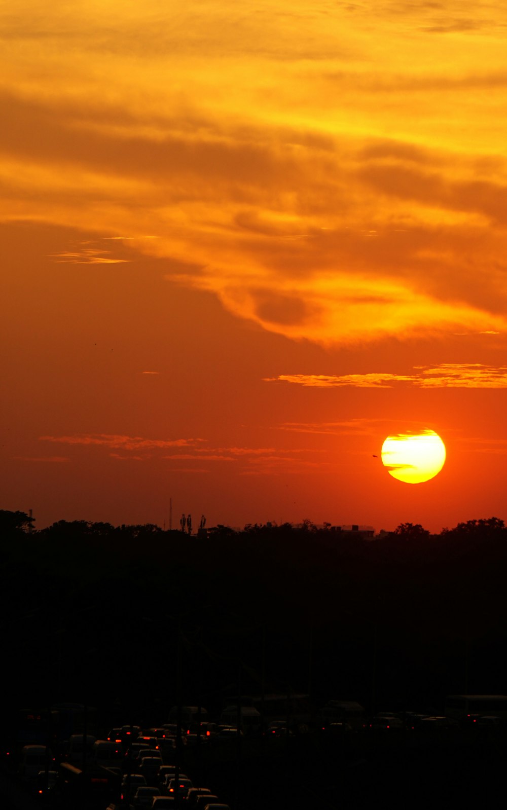 silhouette of trees during golden hour