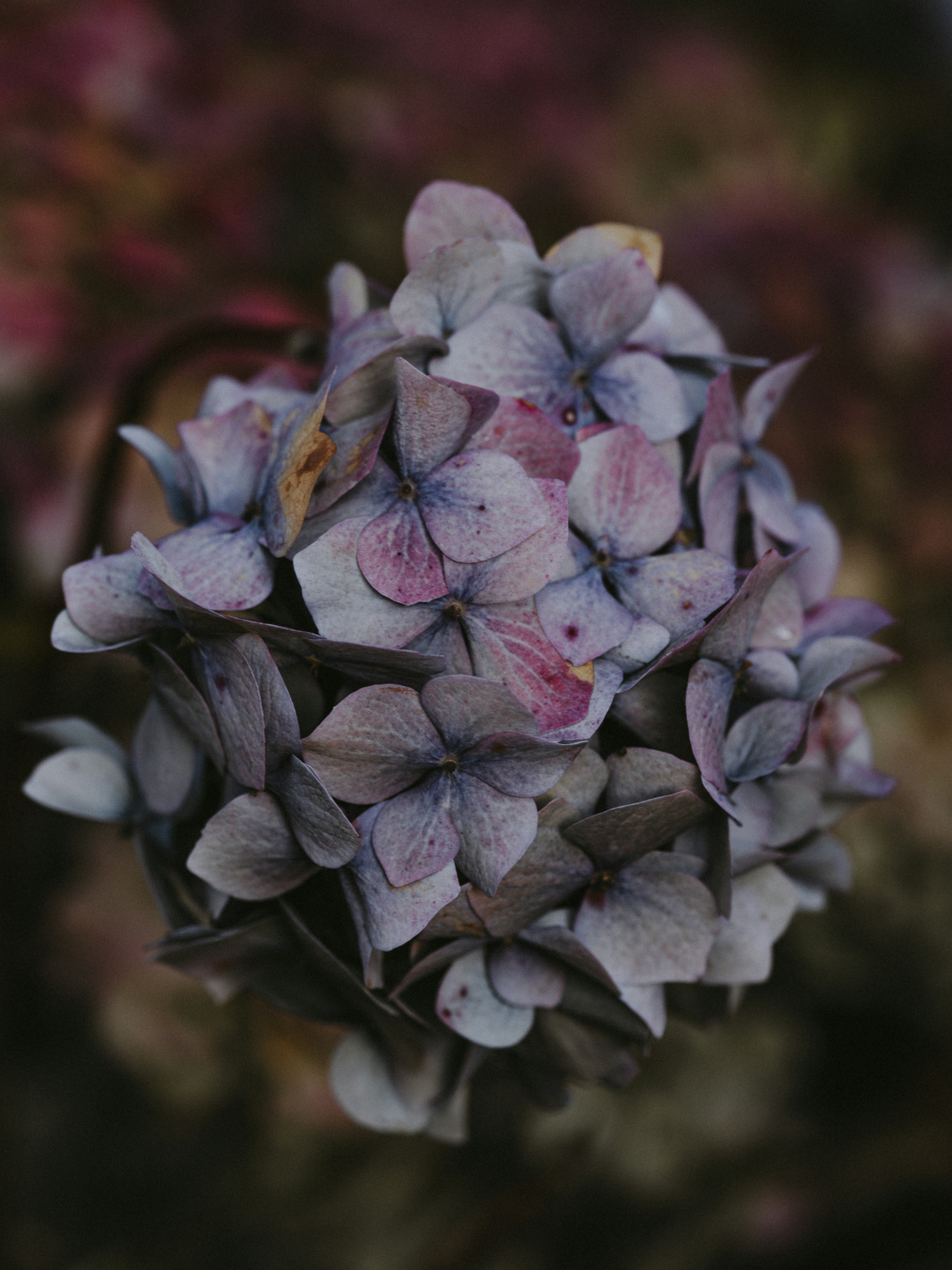 Photo by anniespratt