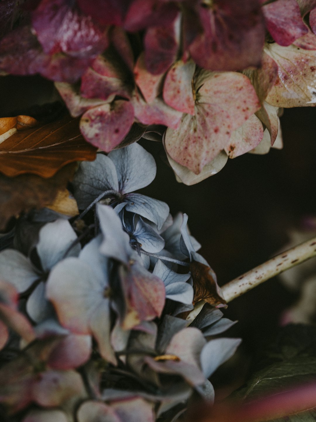 assorted flowers