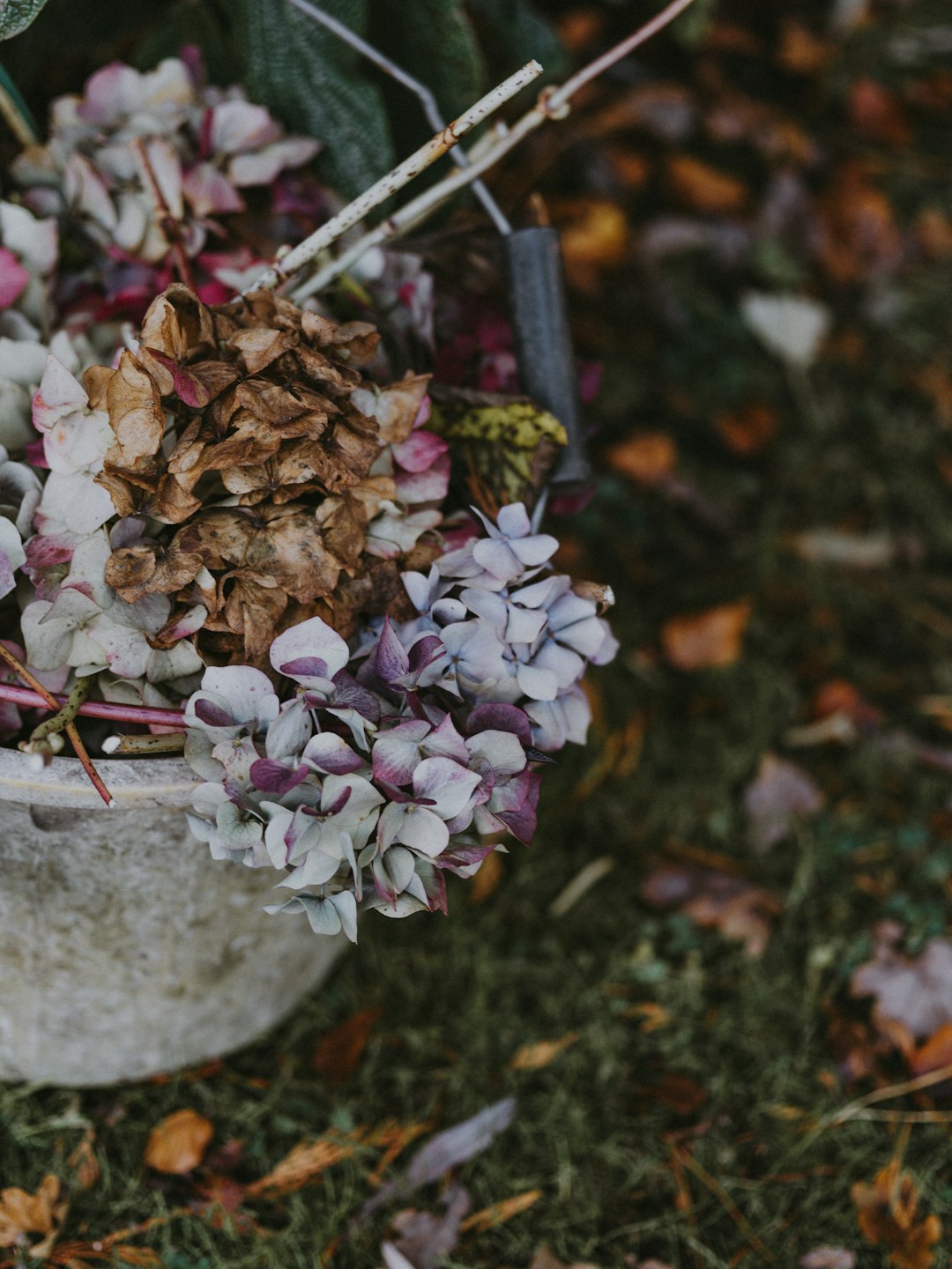 flowers in flowerpot on grass