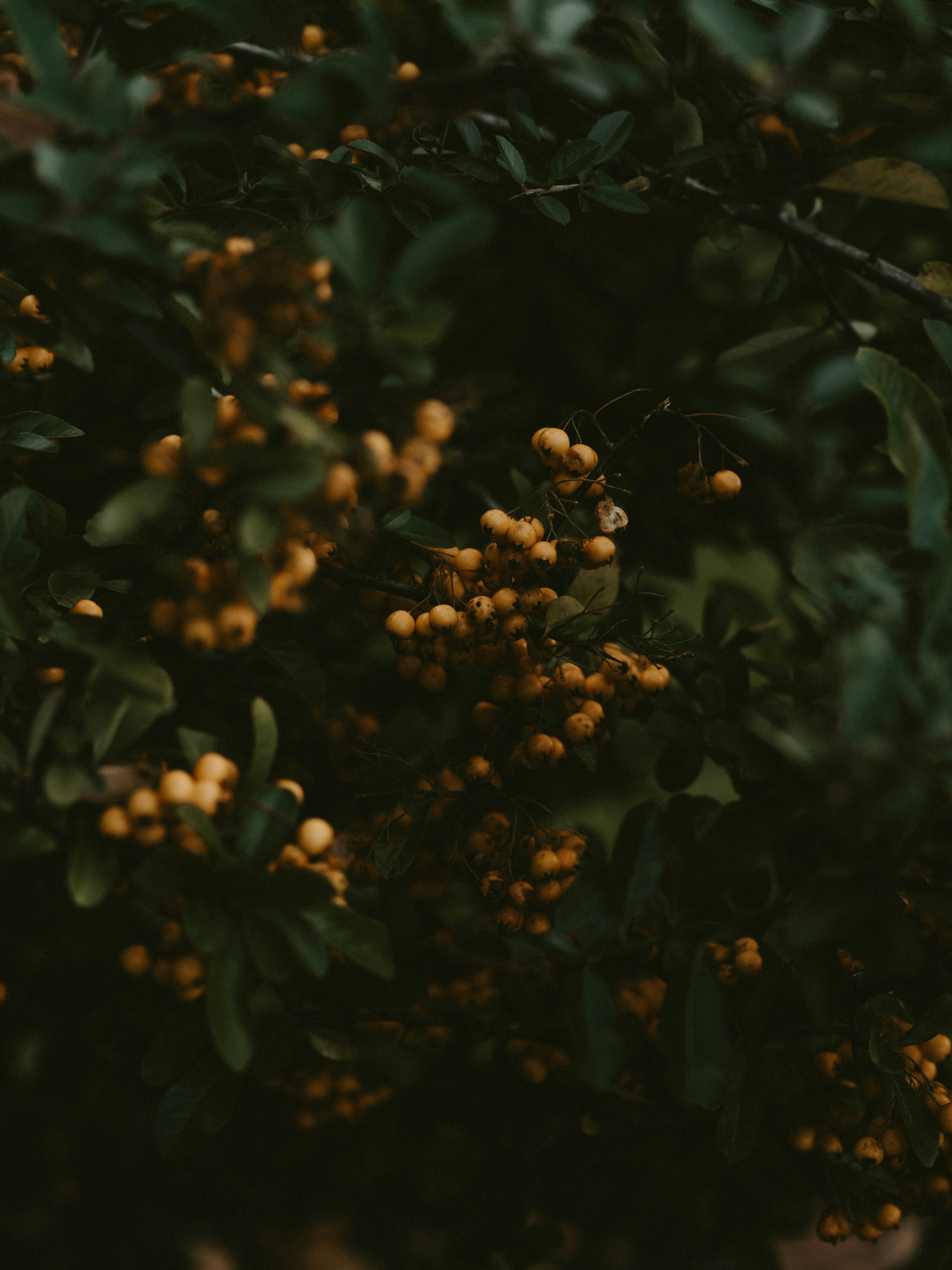 Photo by anniespratt