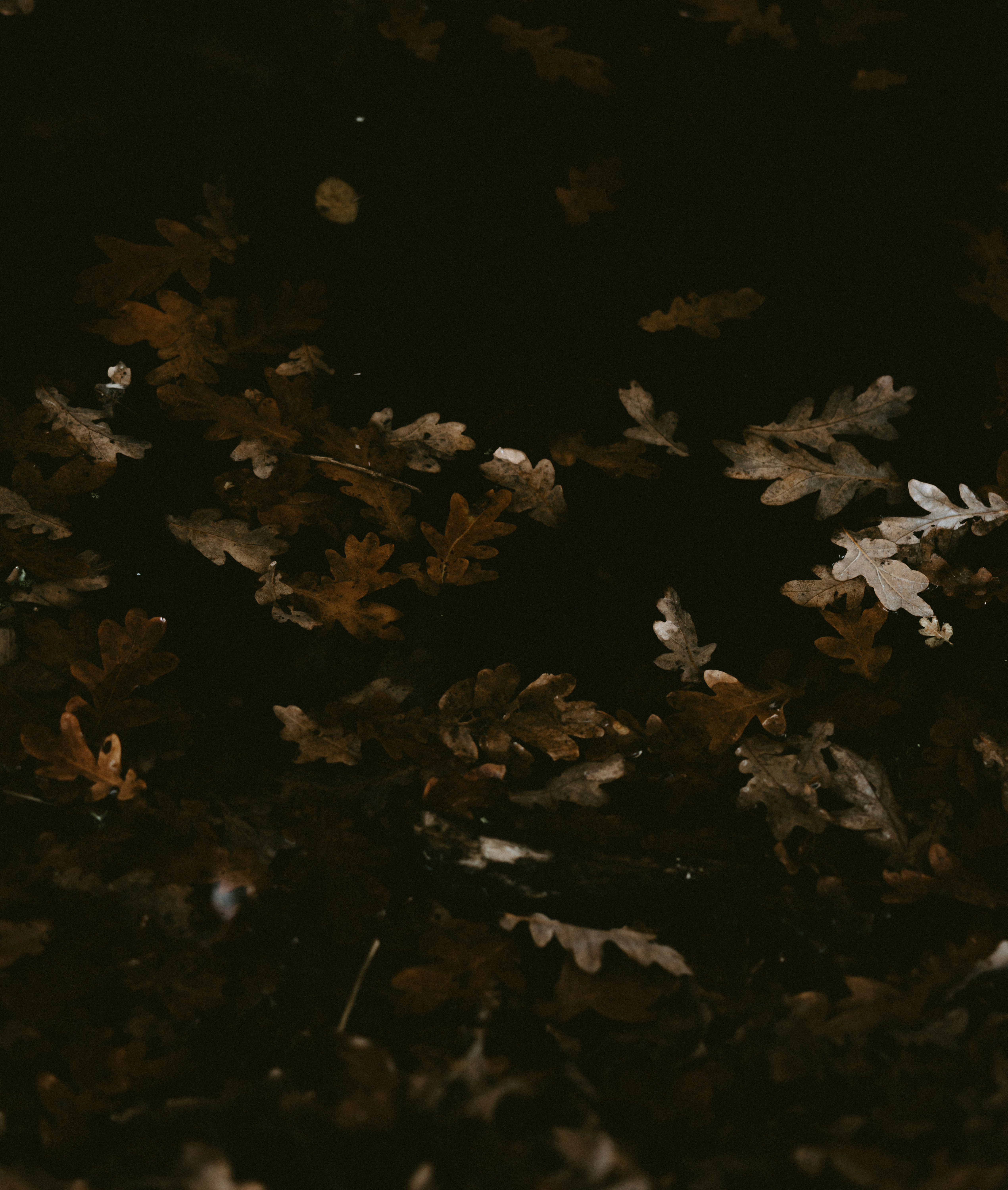 Photo by anniespratt