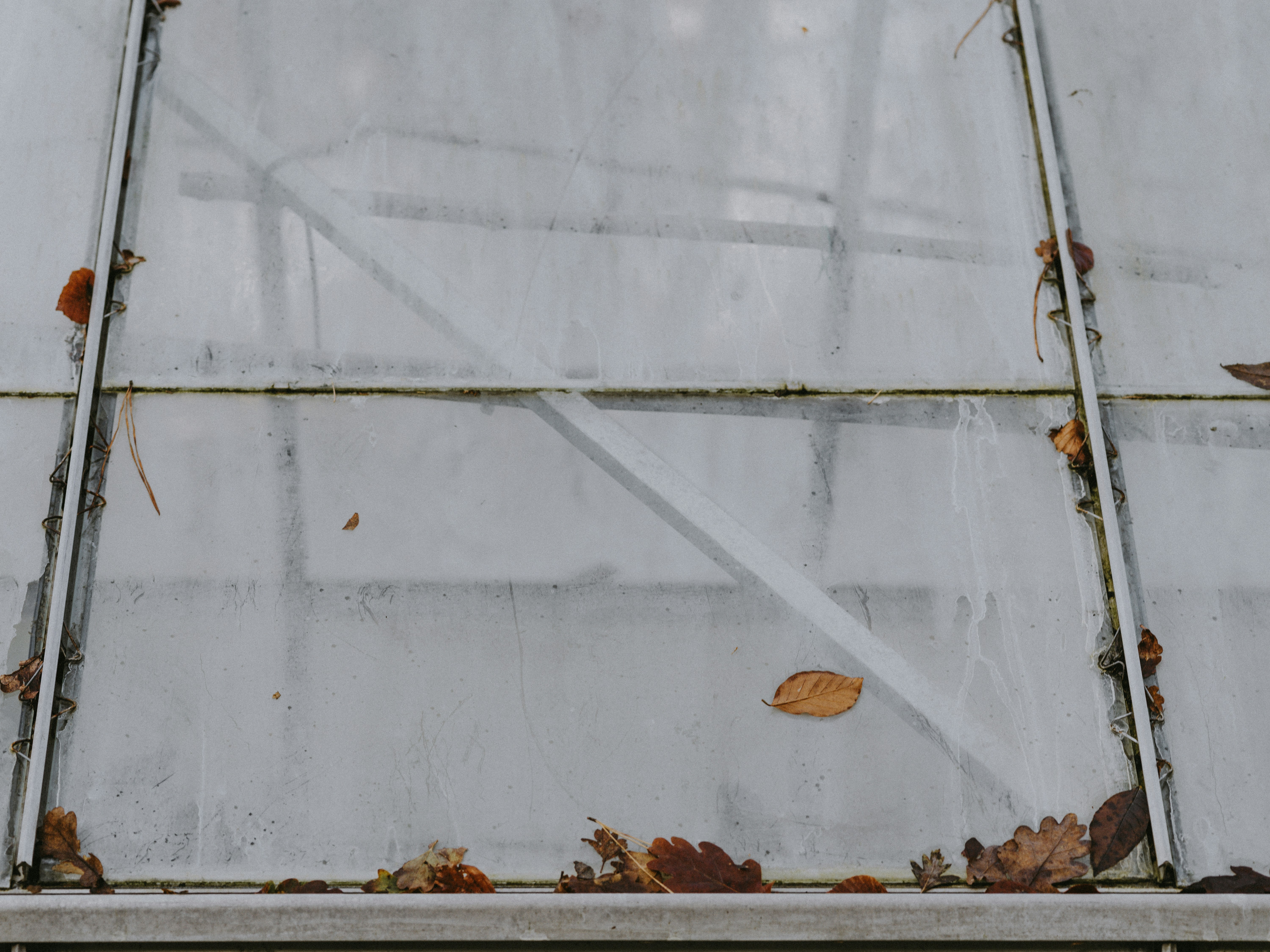 Photo by anniespratt